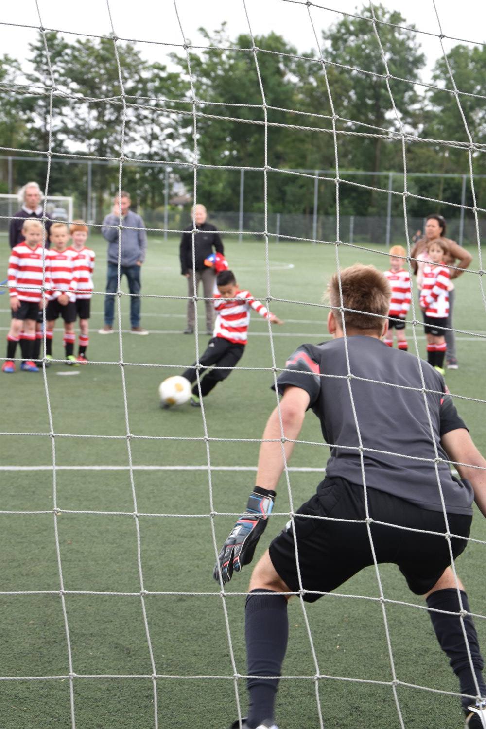 Zit-ie??? (Foto: Viviana Woudstra - De Jong)