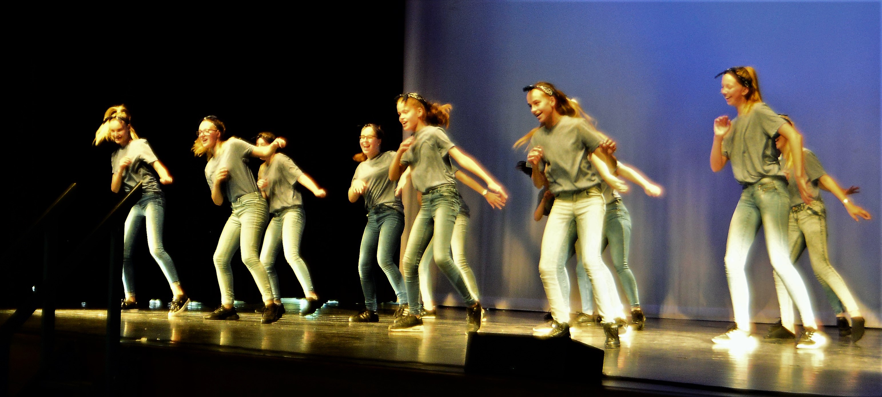 De show met 20 nummers plus afsluitende gezamenlijke dans was enorm geslaagd. (Foto: aangeleverd)