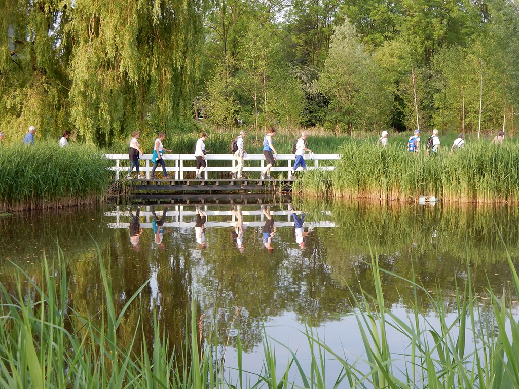 Wandelliefhebbers kunnen meedoen aan de Midzomerwandelingen. (Foto: Wandelsportvereniging De Laatste Loodjes)