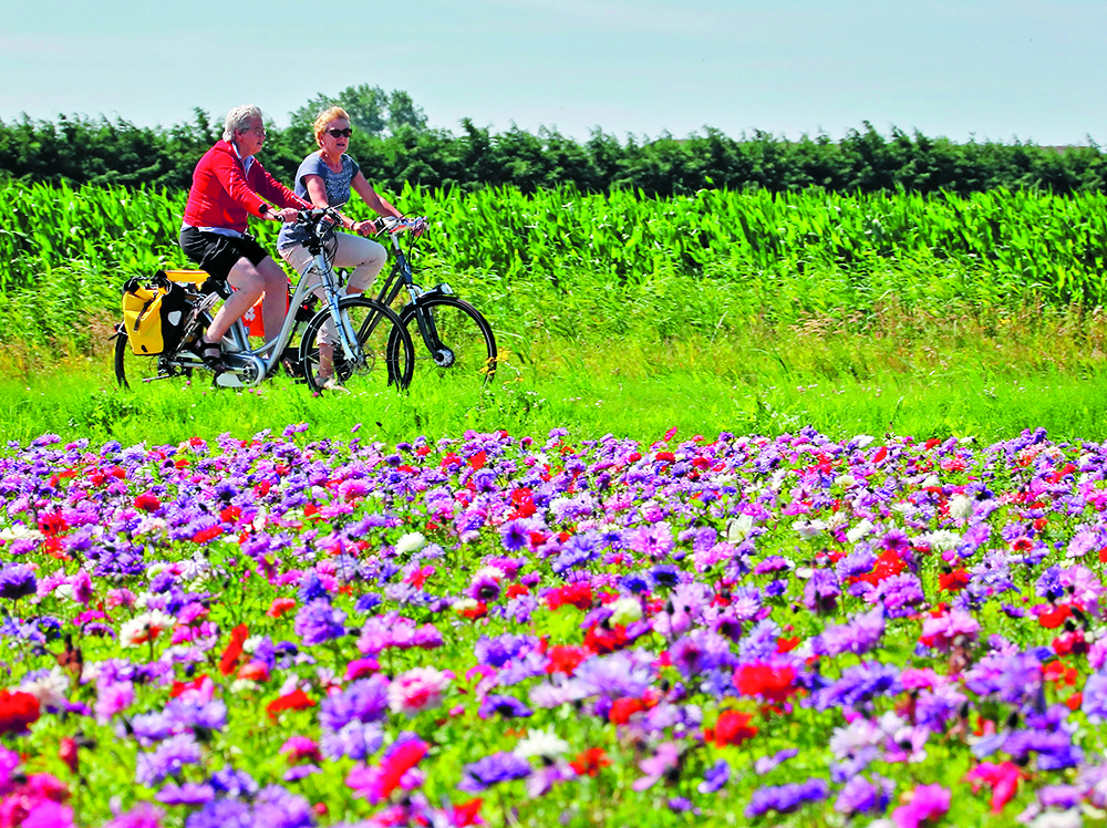 Fietsen door regio Alkmaar. (Foto: aangeleverd)
