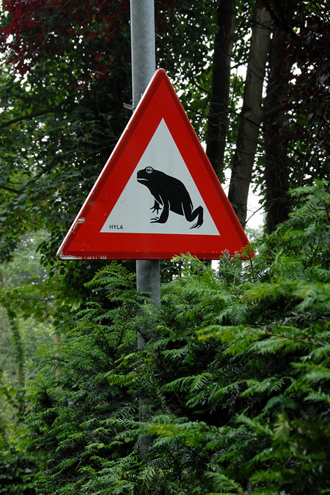 (Foto: aangeleverd)