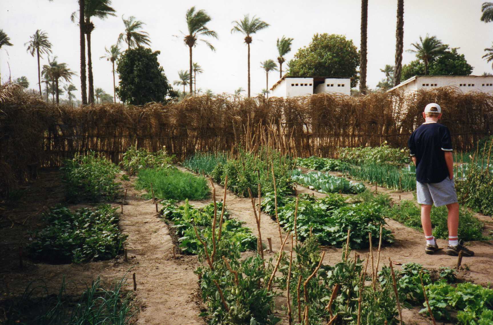 De Boca Loho Foundation zet zich in voor het tuinproject Brufut Garden in Gambia. (Foto: Boca Loho Foundation)