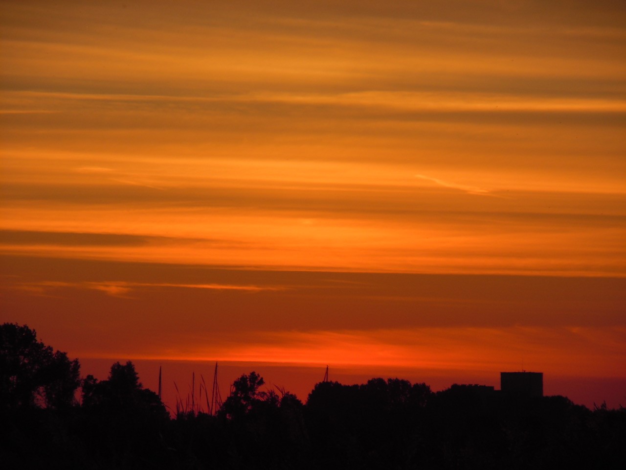 Tegen het vallen van de avond komen de nachtdieren in het Wormer- en Jisperveld tevoorschijn. (Foto: archief Poelboerderij)