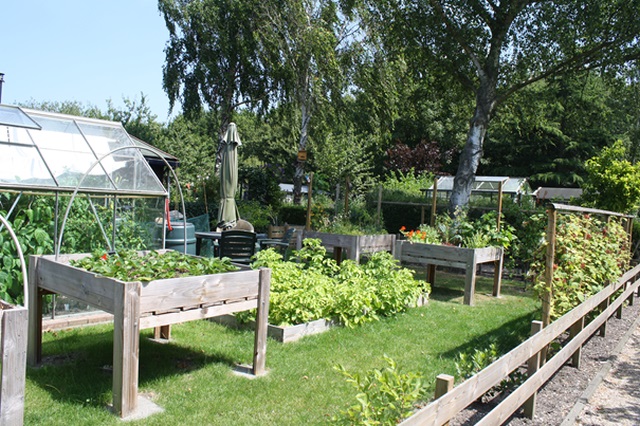 De tuinen liggen in de groene long van de stad. (Foto: aangeleverd)