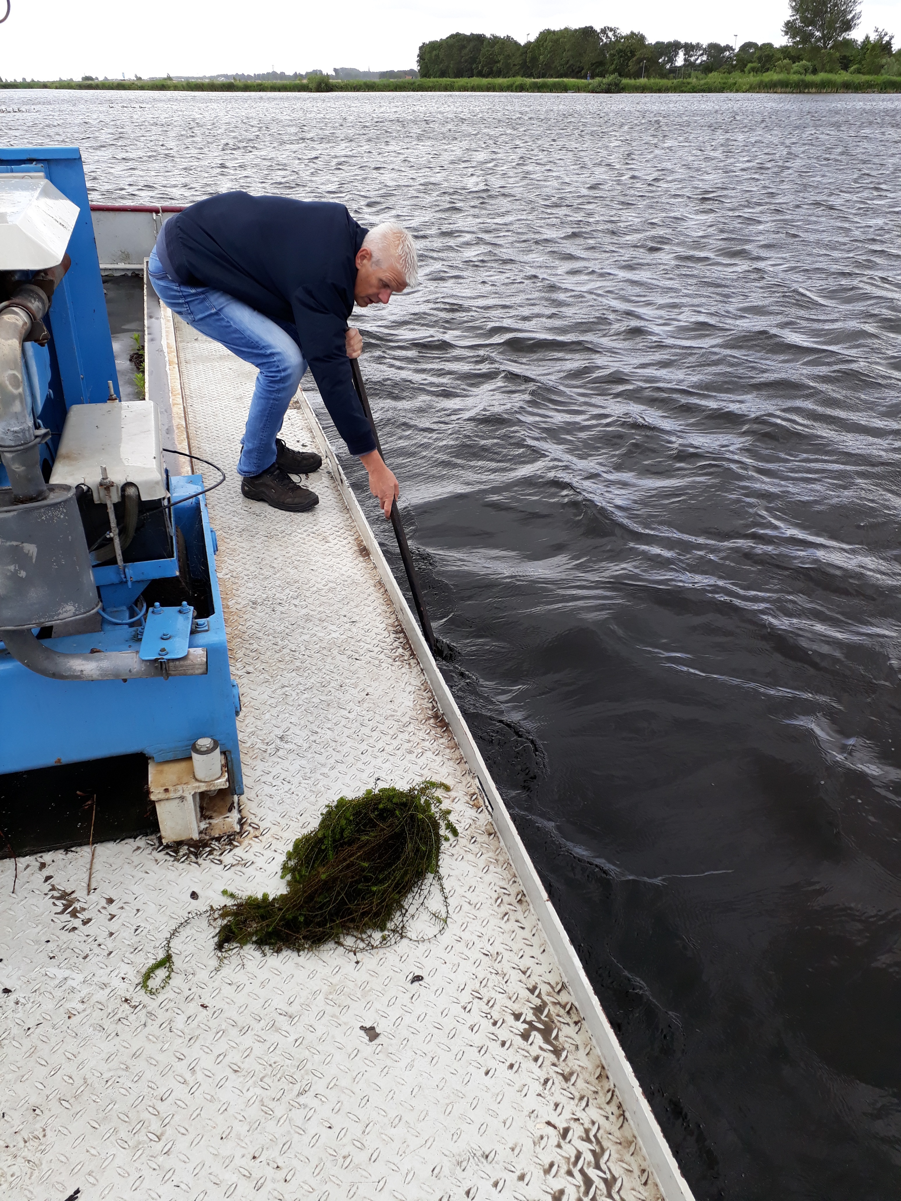 Indien er gemaaid wordt, worden de waterplanten op een duurzame manier verwerkt. (aangeleverde foto)