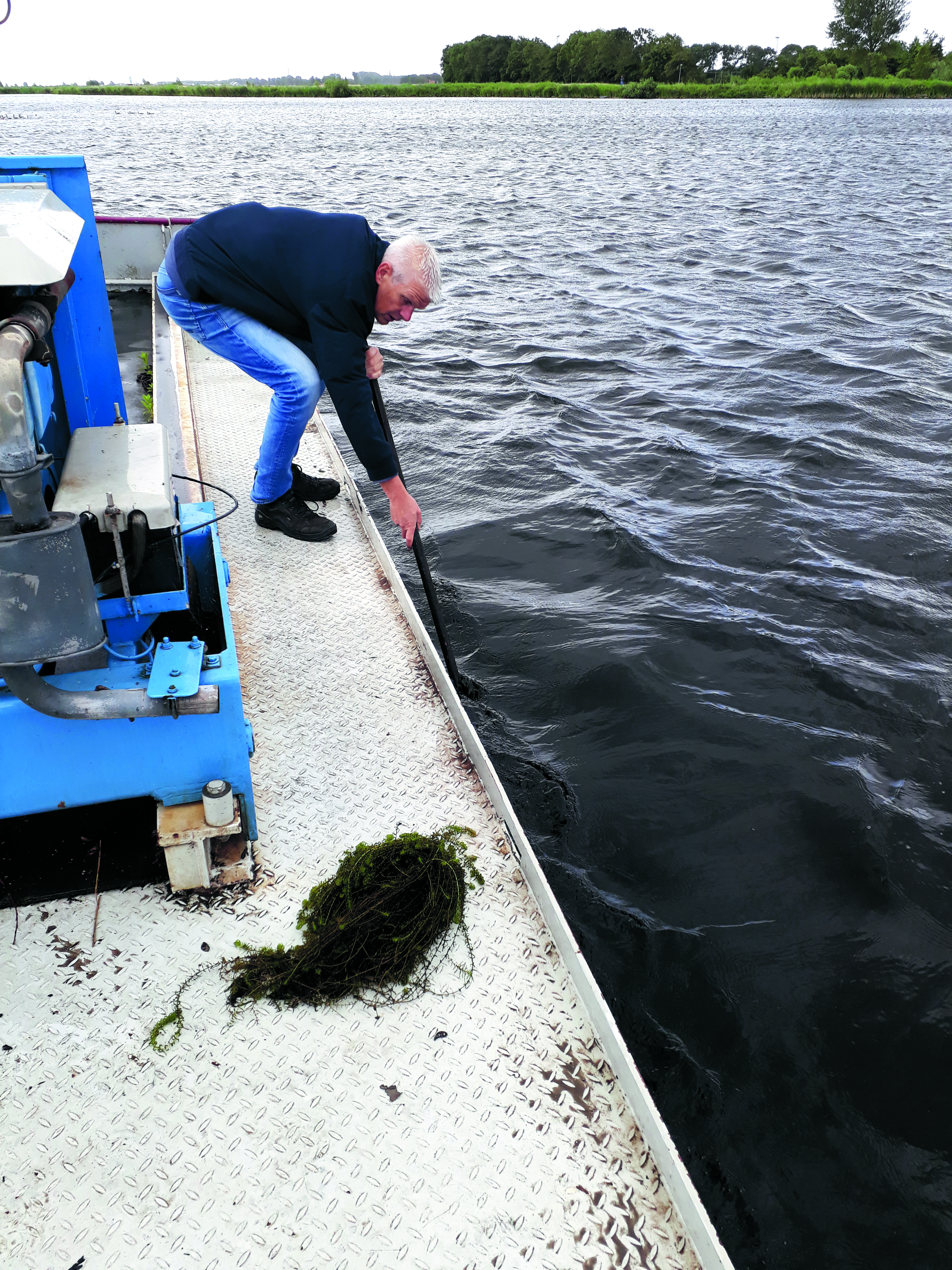 Op vele plekken in Nederland hebben waterrijke gebieden zoals het Alkmaarder- en Uitgeestermeer last van explosief groeiende waterplanten. (foto aangeleverd)