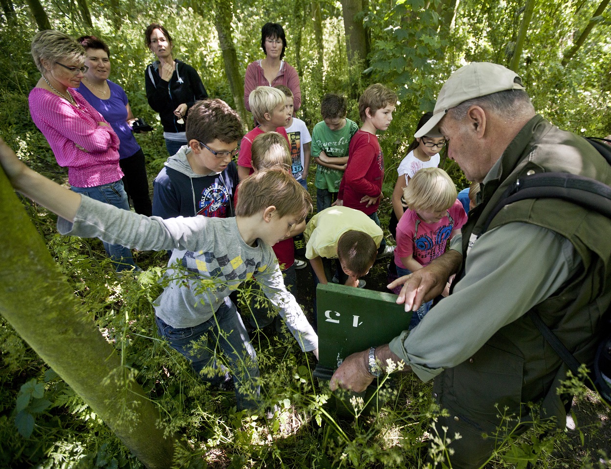 Ga mee op vleermuizenexcursie vanuit Eendenkooi 't Zand. (Foto: Dutchphoto)