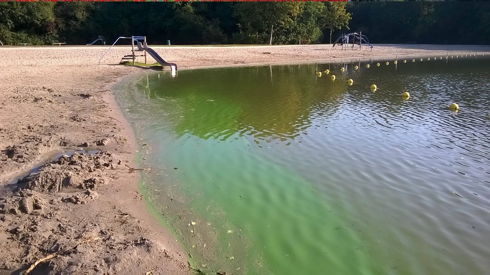 Blauwalg en botulisme is slecht voor de gezondheid. Ga alleen zwemmen in officiële zwemlocaties. (Foto: aangeleverd)