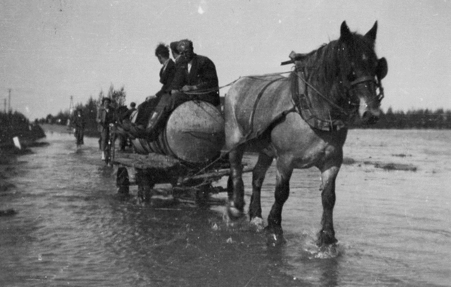 Een vlucht uit de Wieringermeer in april 1945. (Foto: aangeleverd)