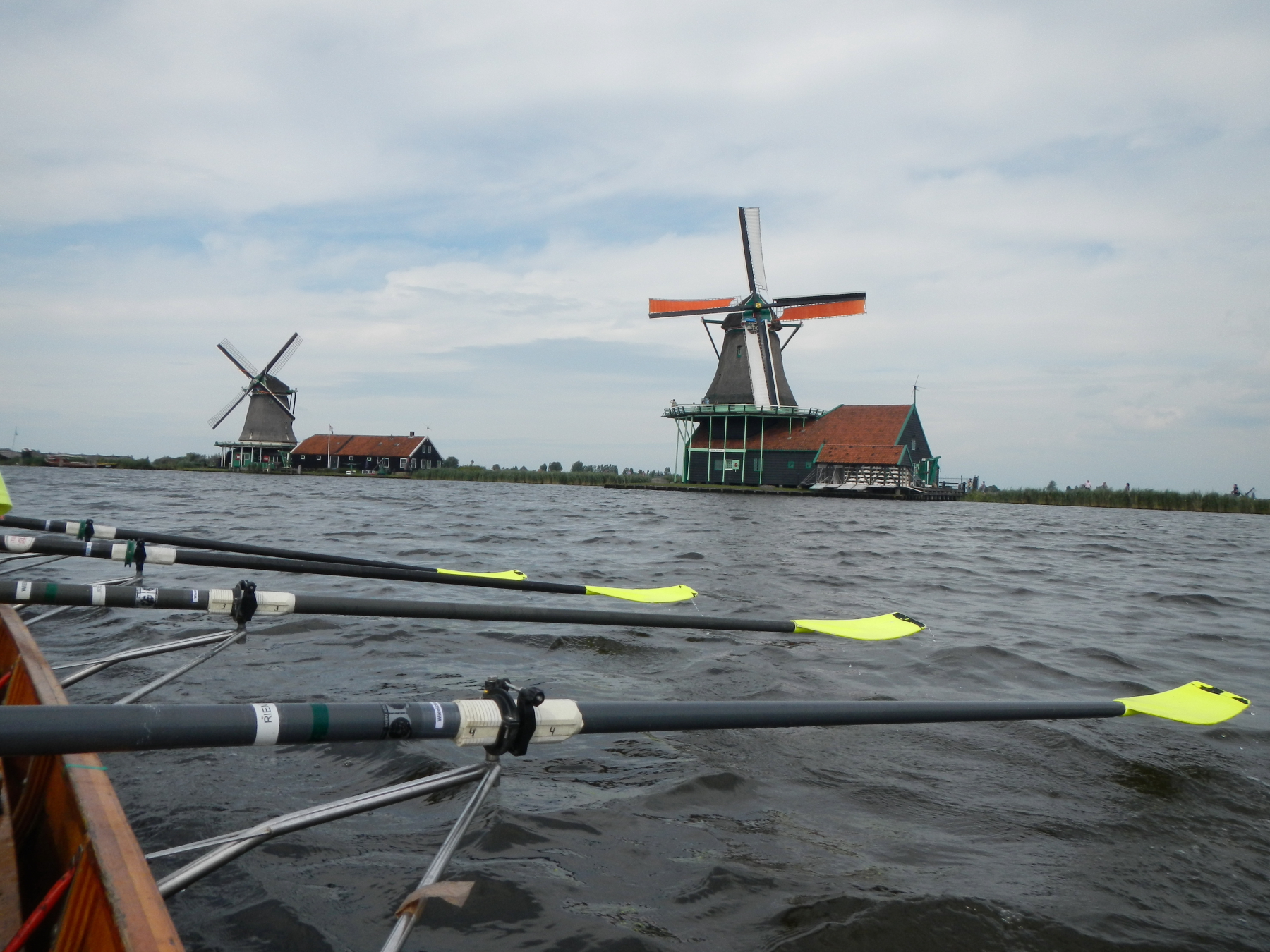 Elk seizoen biedt de Zaan naar zeggen van Zaankanaries fantastisch roeiwater. (Foto: Zaankanaries)