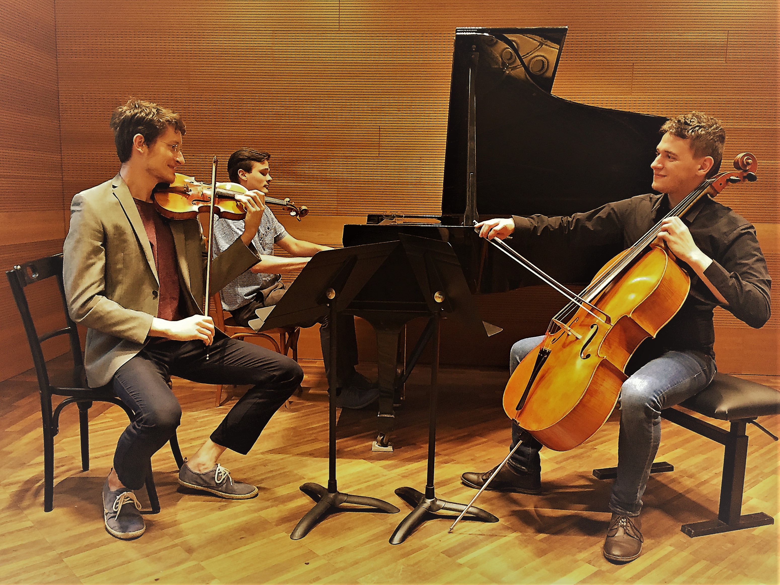 Het Pál Hermann Ensemble uit Hongarije betovert het publiek met onder meer een klassiek muziekstuk van Mozart. (aangeleverde foto)