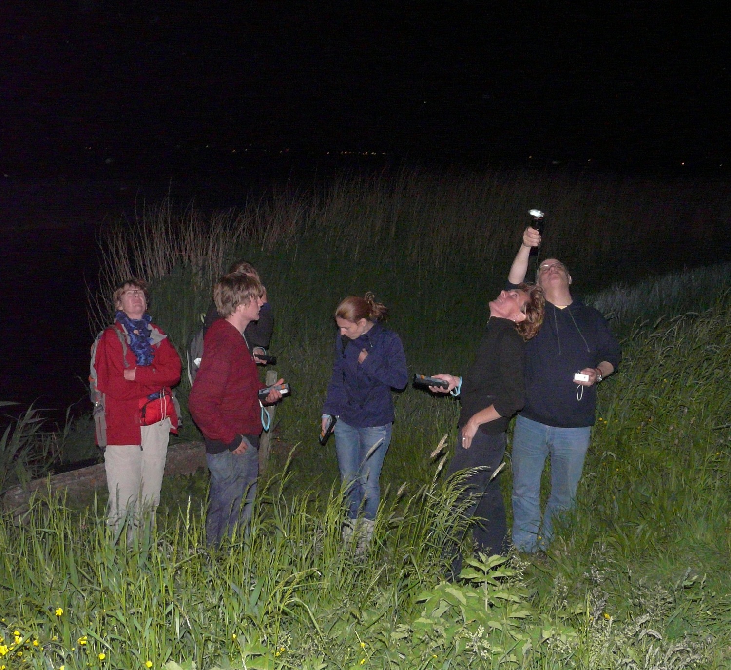 Vleermuizen spotten in het donker is zo makkelijk nog niet. (Foto: Landschap Noord-Holland)