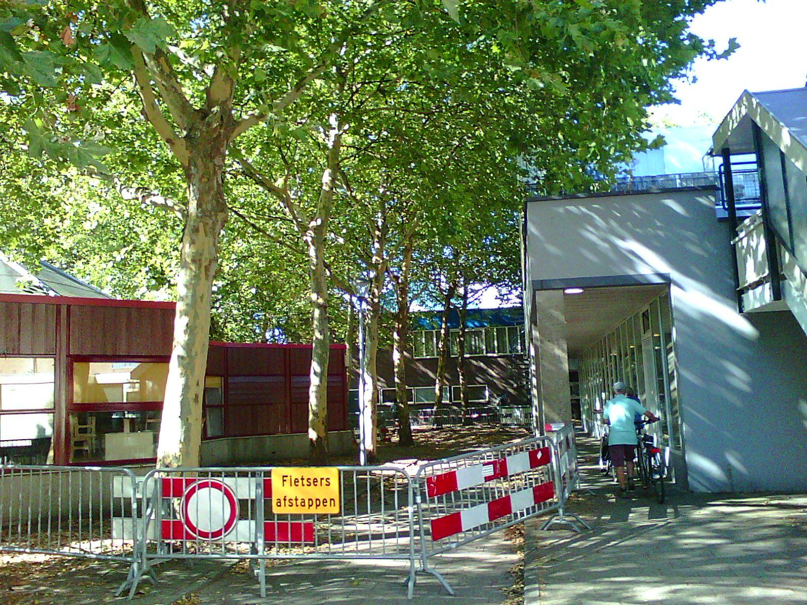 Boom uitgedroogd, fietspad gesloten