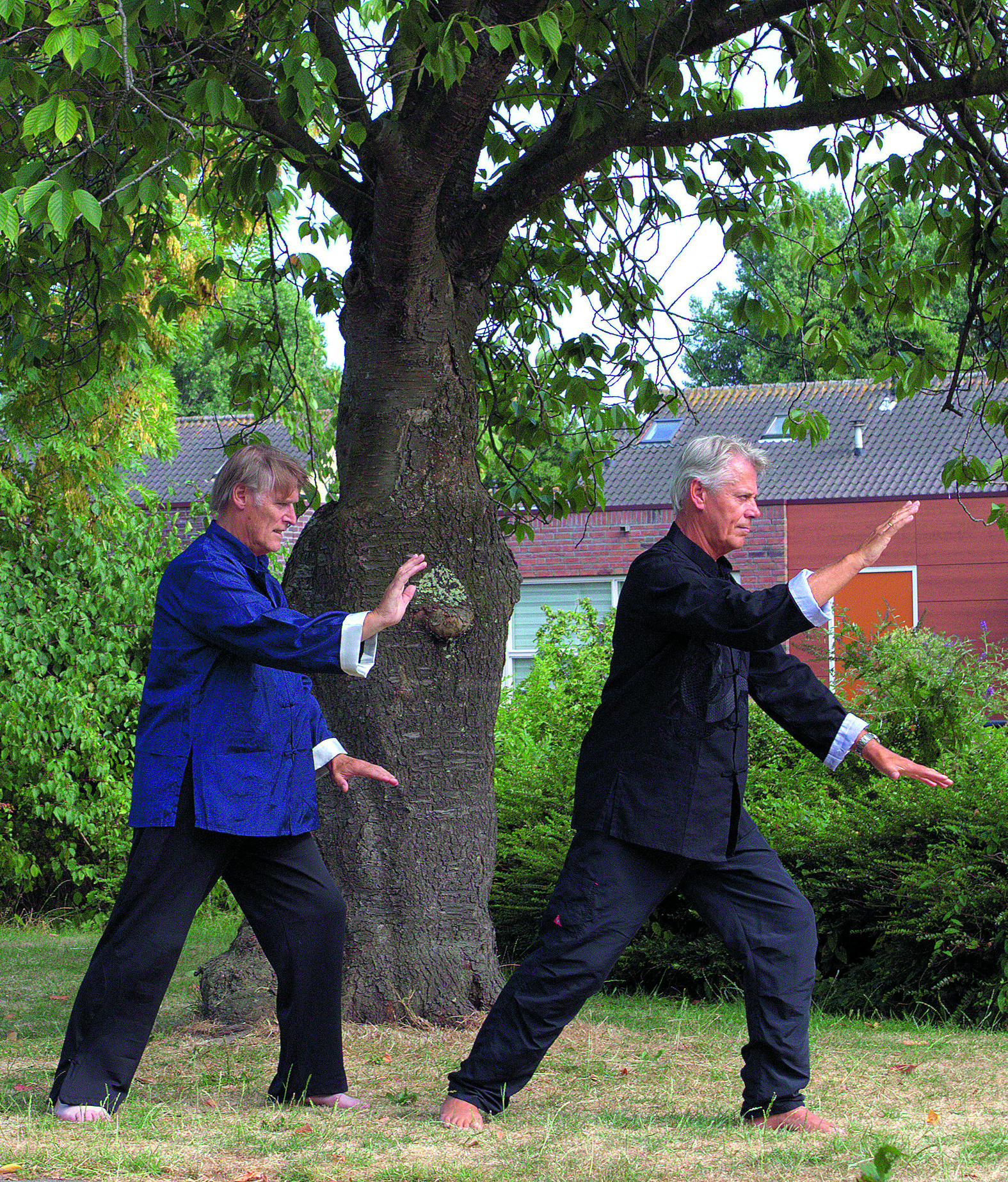 Tai chi-lessen in Heemskerk