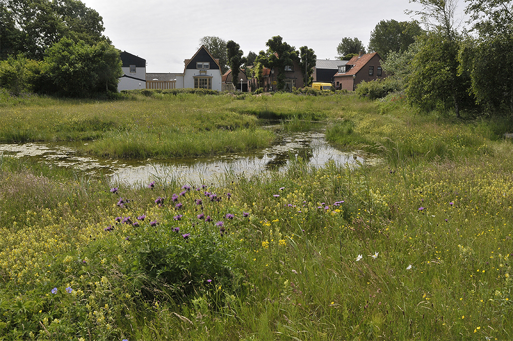 Heemtuin De Wielenmaker oogt nog fris na de droogte. (Foto: Peter Lassooij)