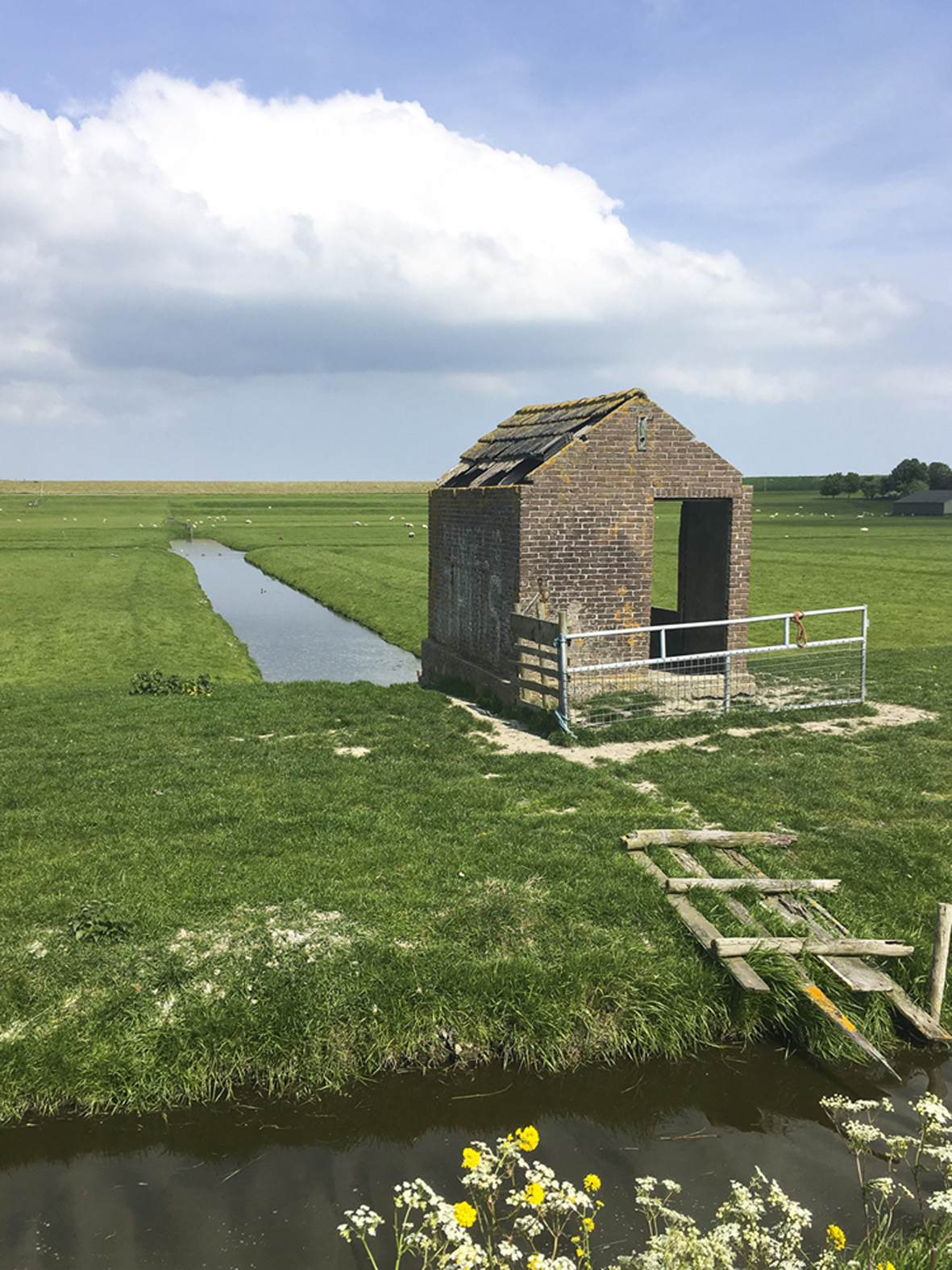 Verlaten huis. (Foto: Hanneke Kruijver)