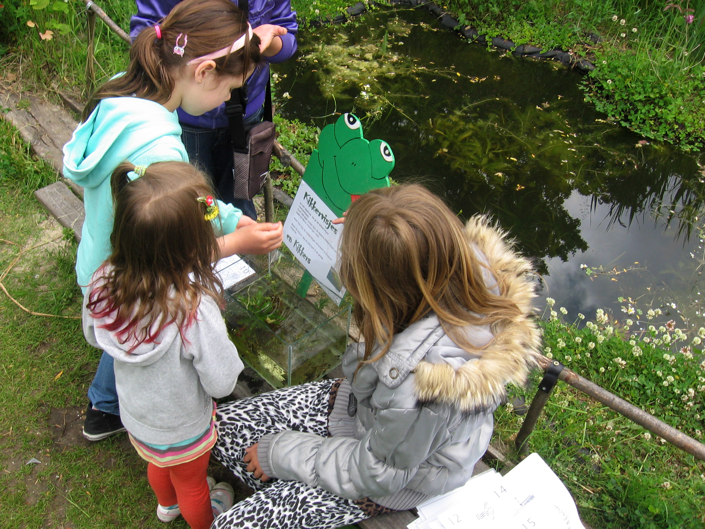 Kinderen tijdens een kikkerpad in de Heemtuin. (Foto: Zaansnatuurmilieucentrum)