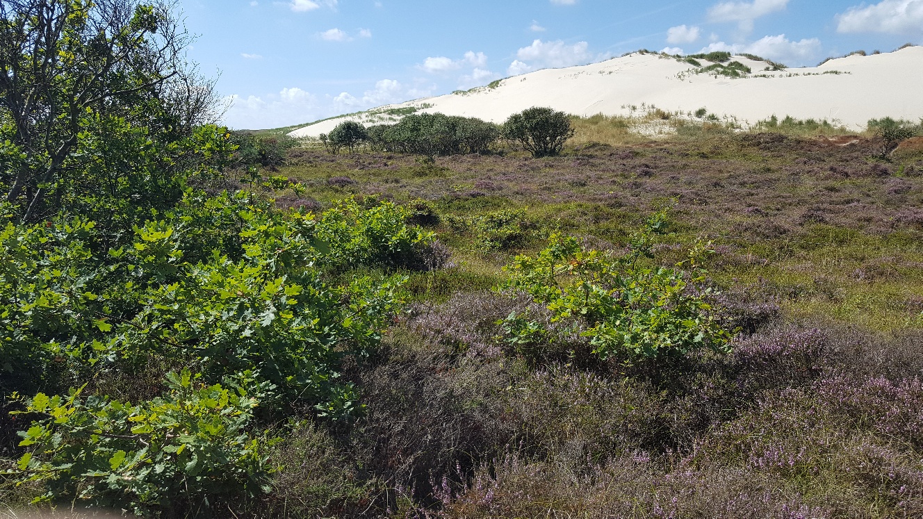 Onderweg kan men genieten van de natuur. (Foto: aangeleverd)