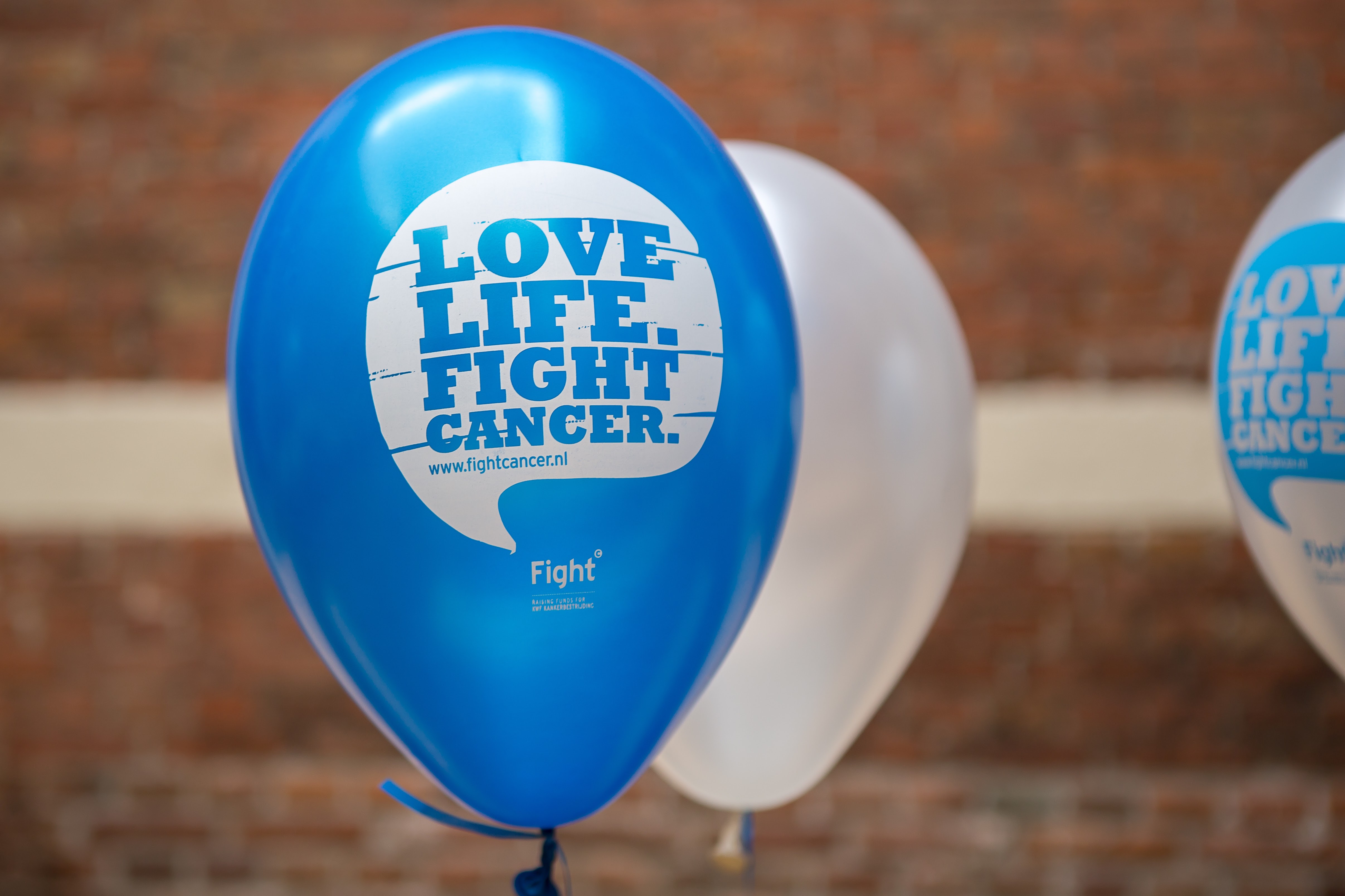 Swim to Fight Cancer Hollands Kroon op stoom