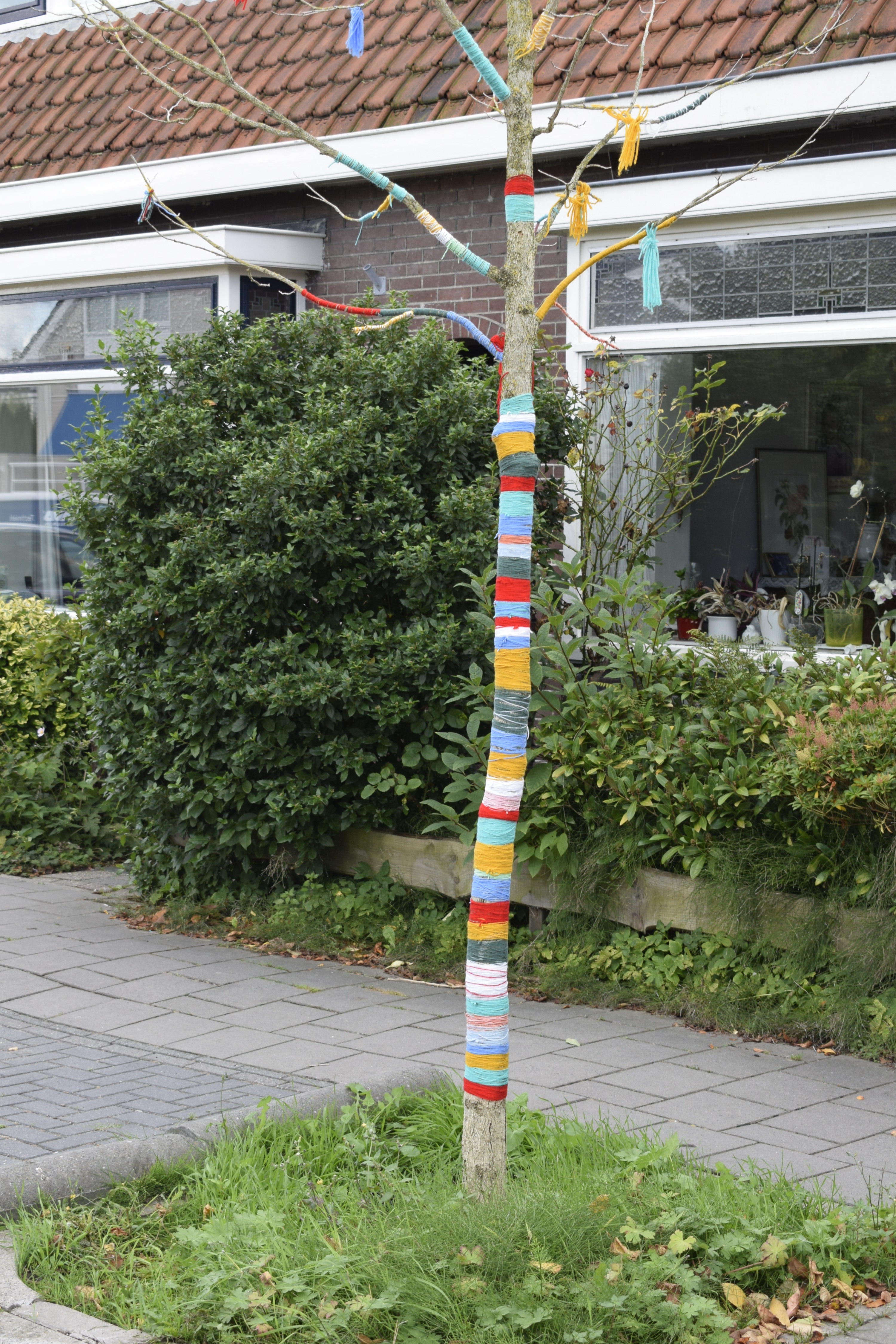 'Street art' in de Snuiverstraat. (Foto: DB)