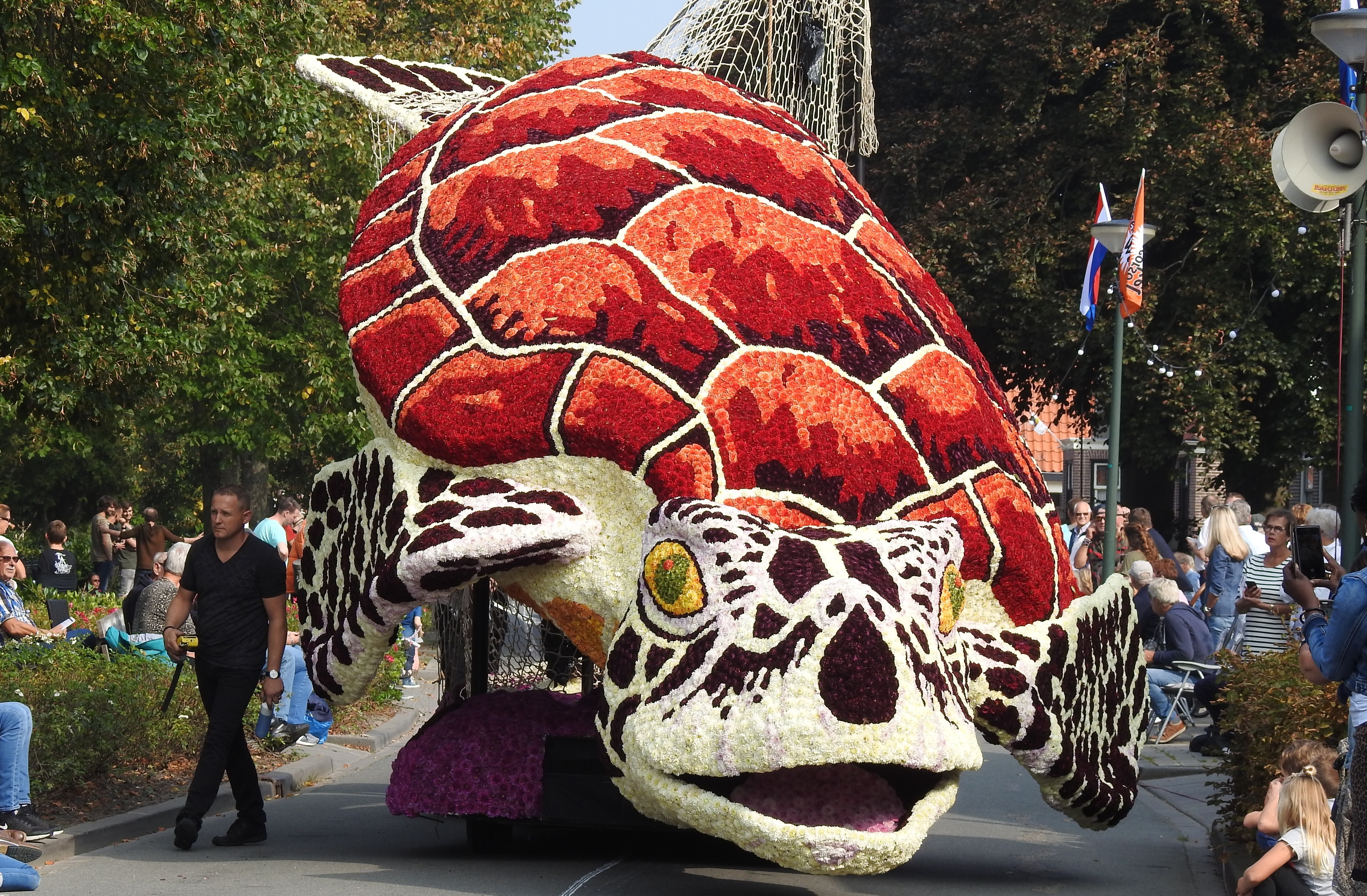 De prachtigste creaties komen voorbij tijdens Bloemencorso Winkel. (aangeleverde foto)