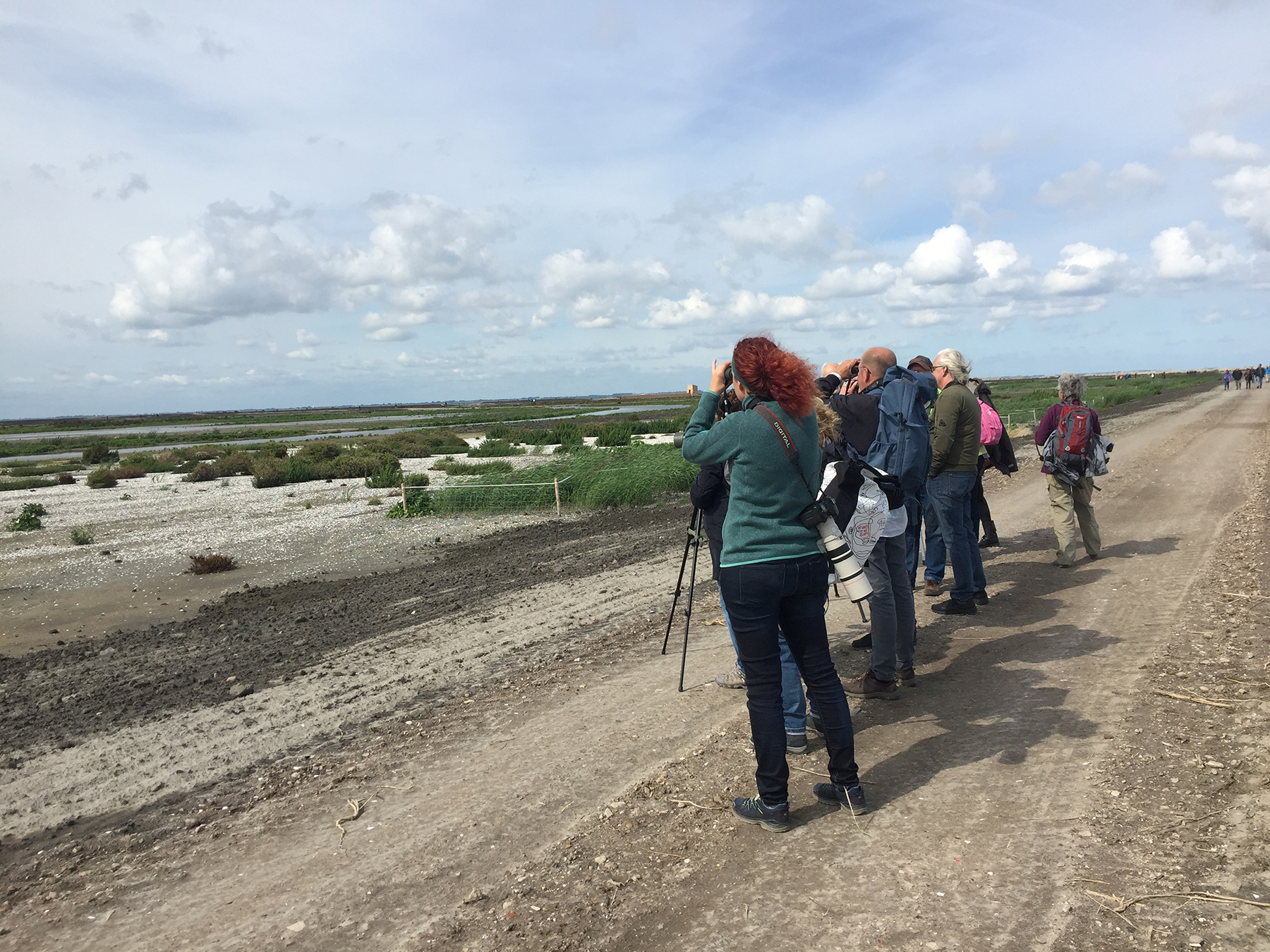Eén van de vijf eilanden van de nieuwe Marker Wadden is vanaf nu te bezoeken per boot. Zaterdag 29 september wordt een extra lange Marker Wadden-excursie georganiseerd. (Foto: aangeleverd)