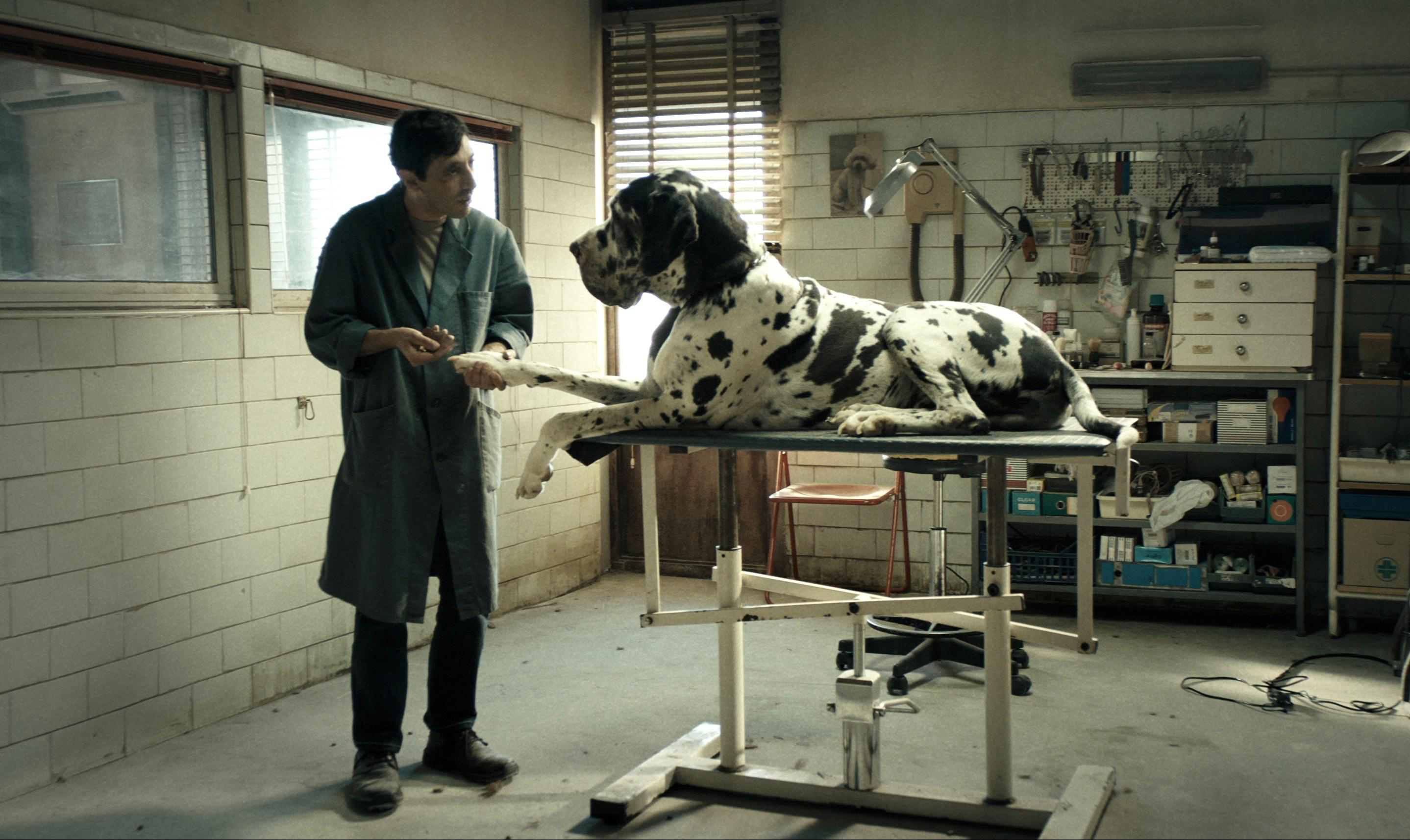 Dogman. (Foto: aangeleverd)