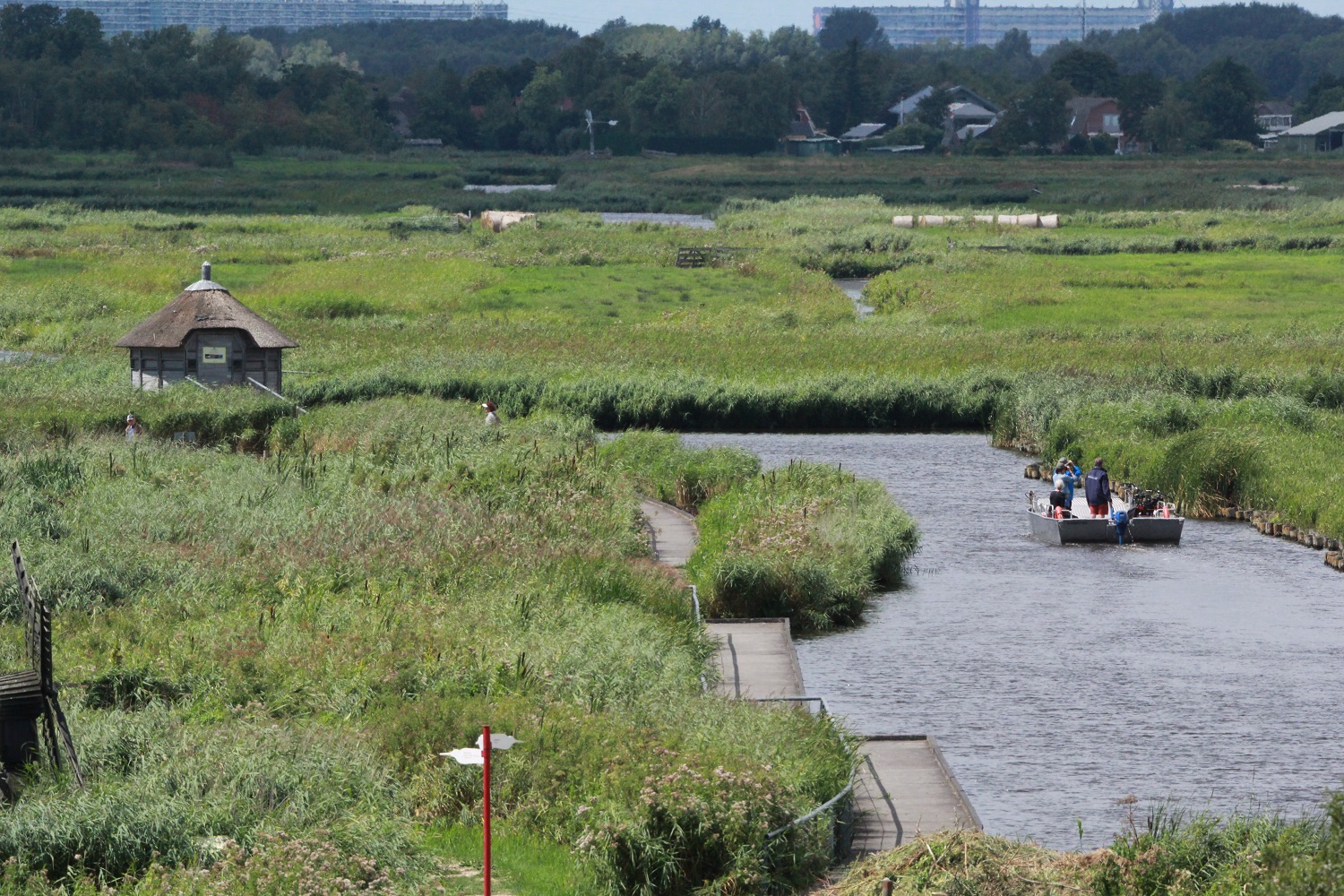 Ilperveld. (Foto: Klaas Ros)