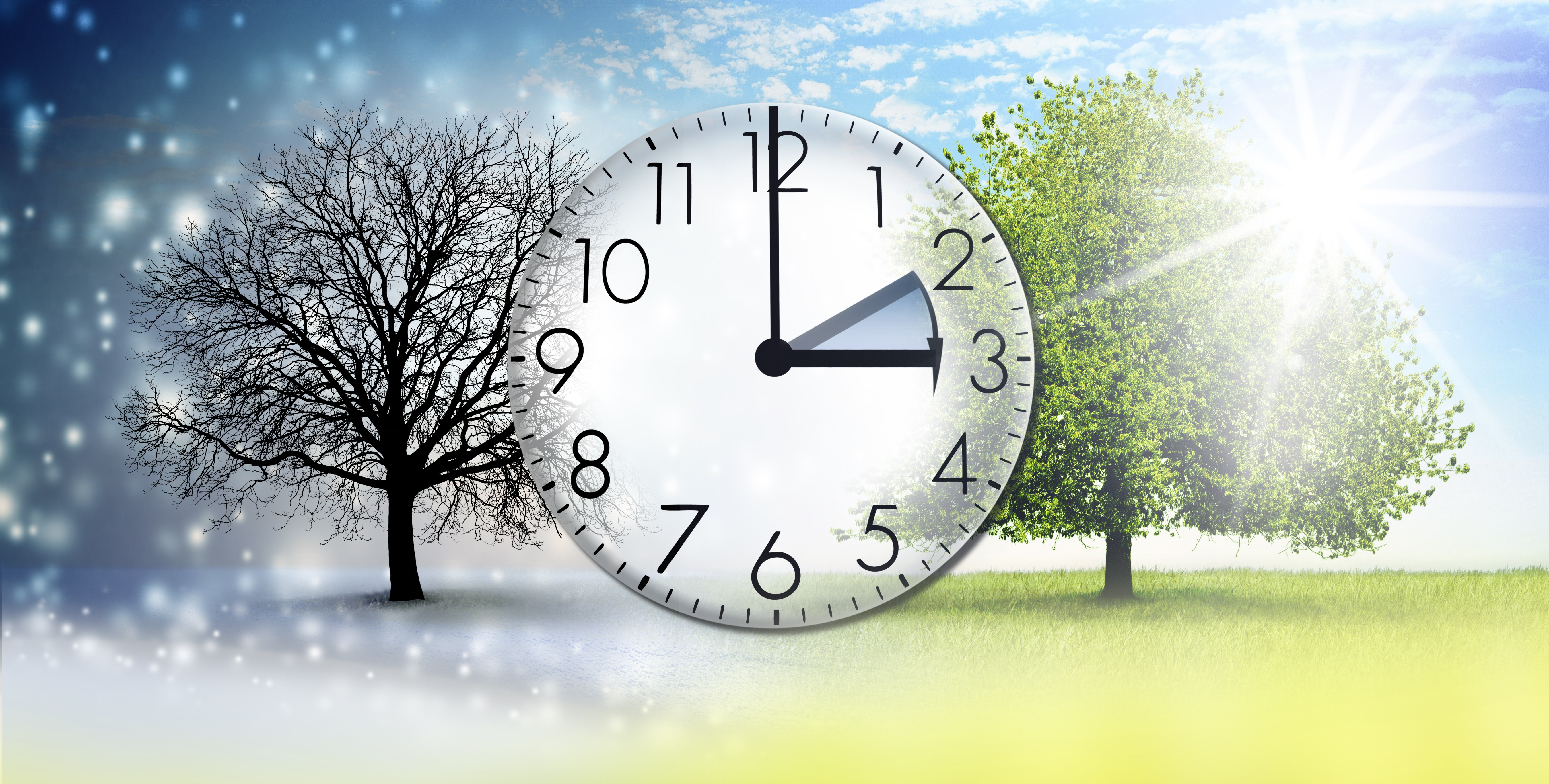 Wat moet het gaan worden? Zomer- of wintertijd? (Foto: Adobe Stock)