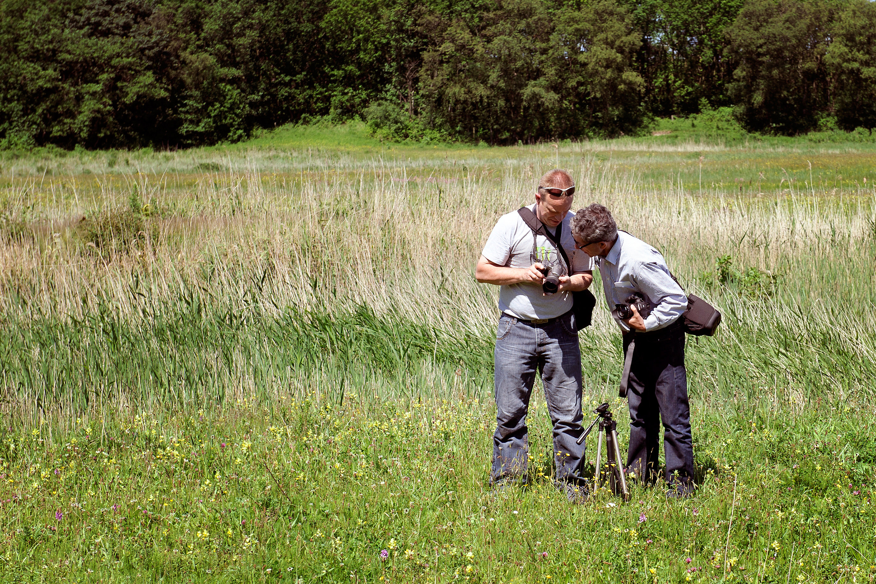 De herfst is de ideale periode om samen met anderen foto's te maken van de natuur. (Foto: Raymond den Haan / DHfoto)
