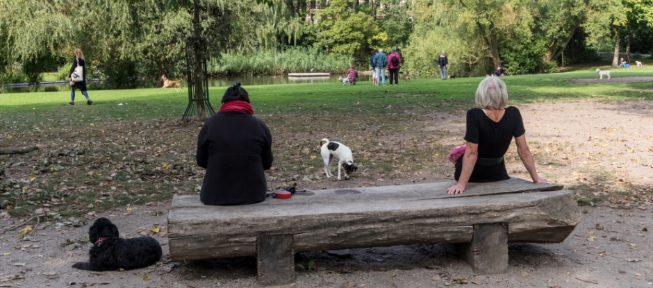 Bomen krijgen een tweede leven als straatmeubilair, meubels of decoratie. (Foto: gemeente Amsterdam)