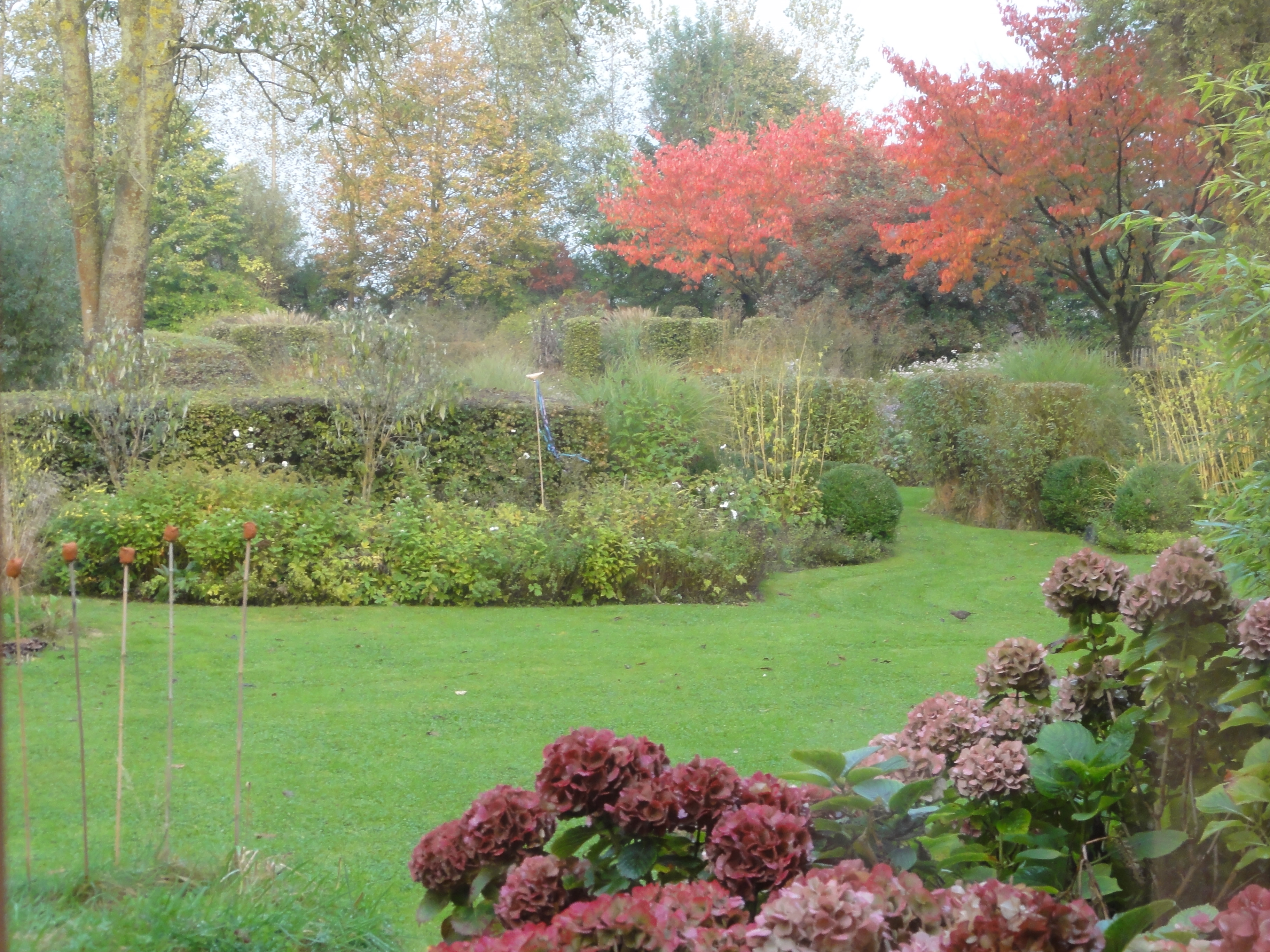 'Bomen zorgen voor de kleuren in de tuin'. (Foto: aangeleverd)