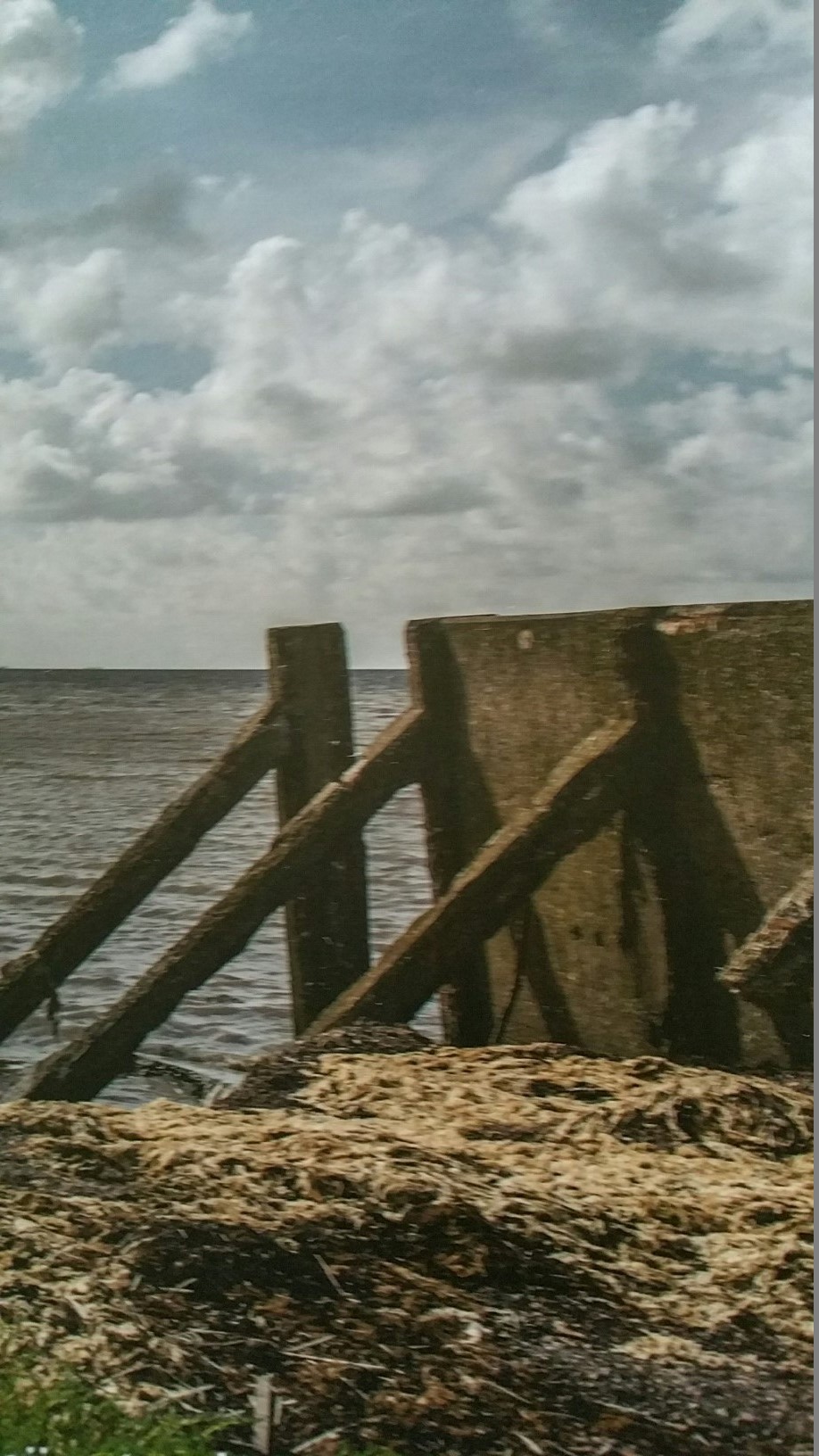 (Foto: aangeleverd)