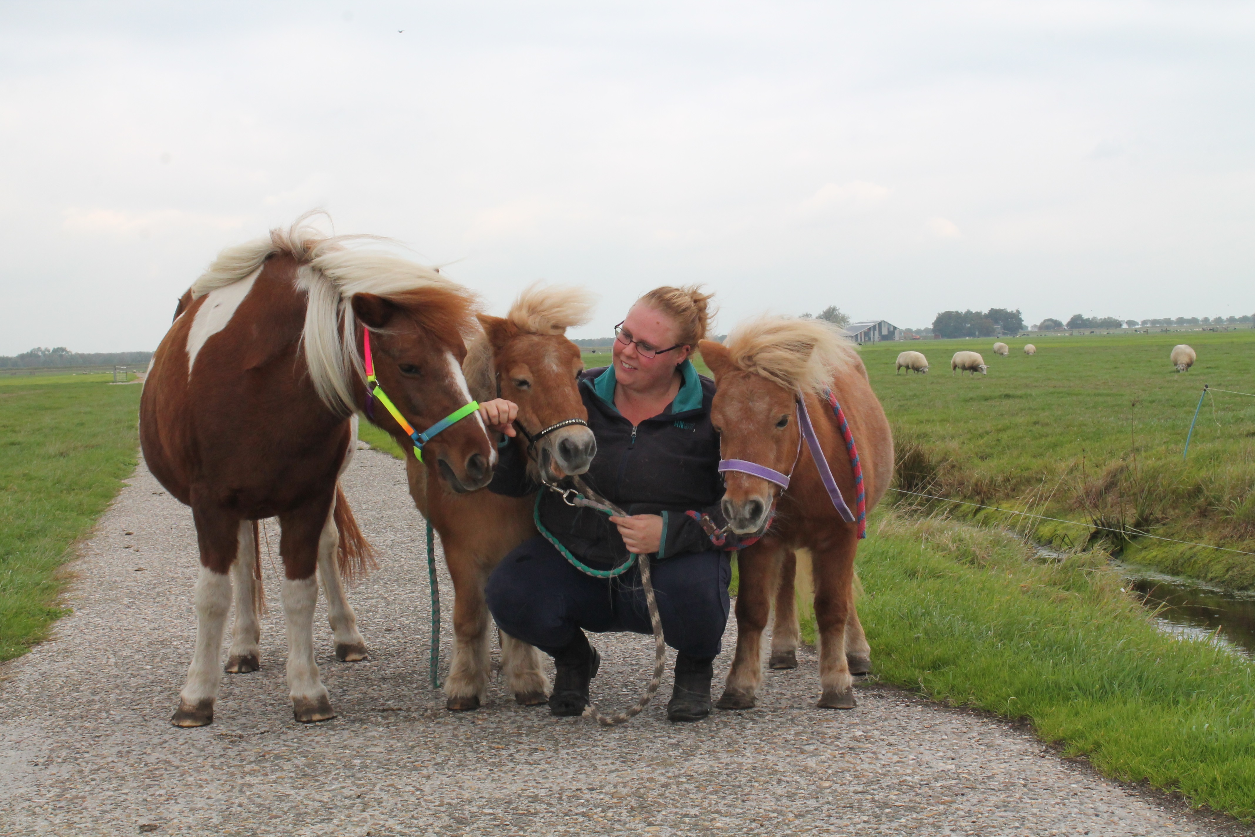 Desirée met haar verzorgpaarden Daisy,Mistral en Linda. (Foto: Shelley Zuizewind/RM)