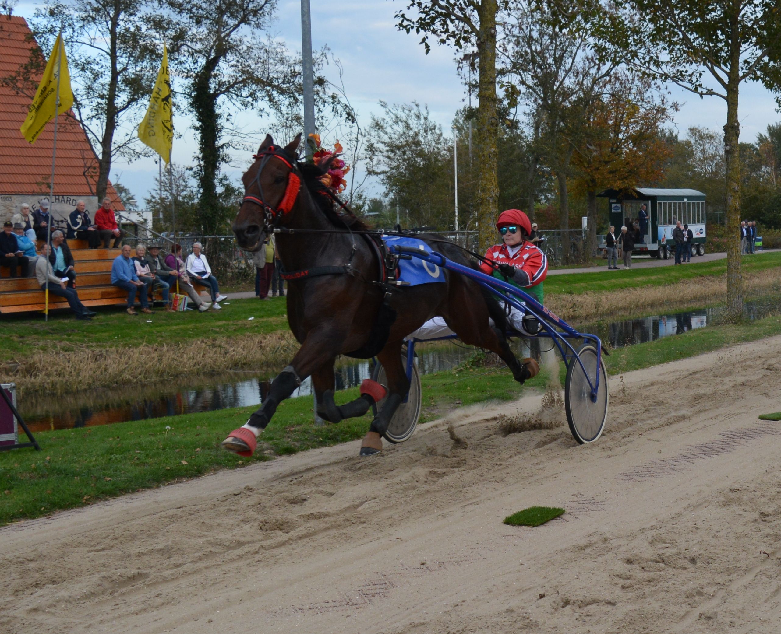 Doc Holiday is de grote winnaar van het klassement 'Paard van het jaar'. (Foto: Mathieu Hilgersom)