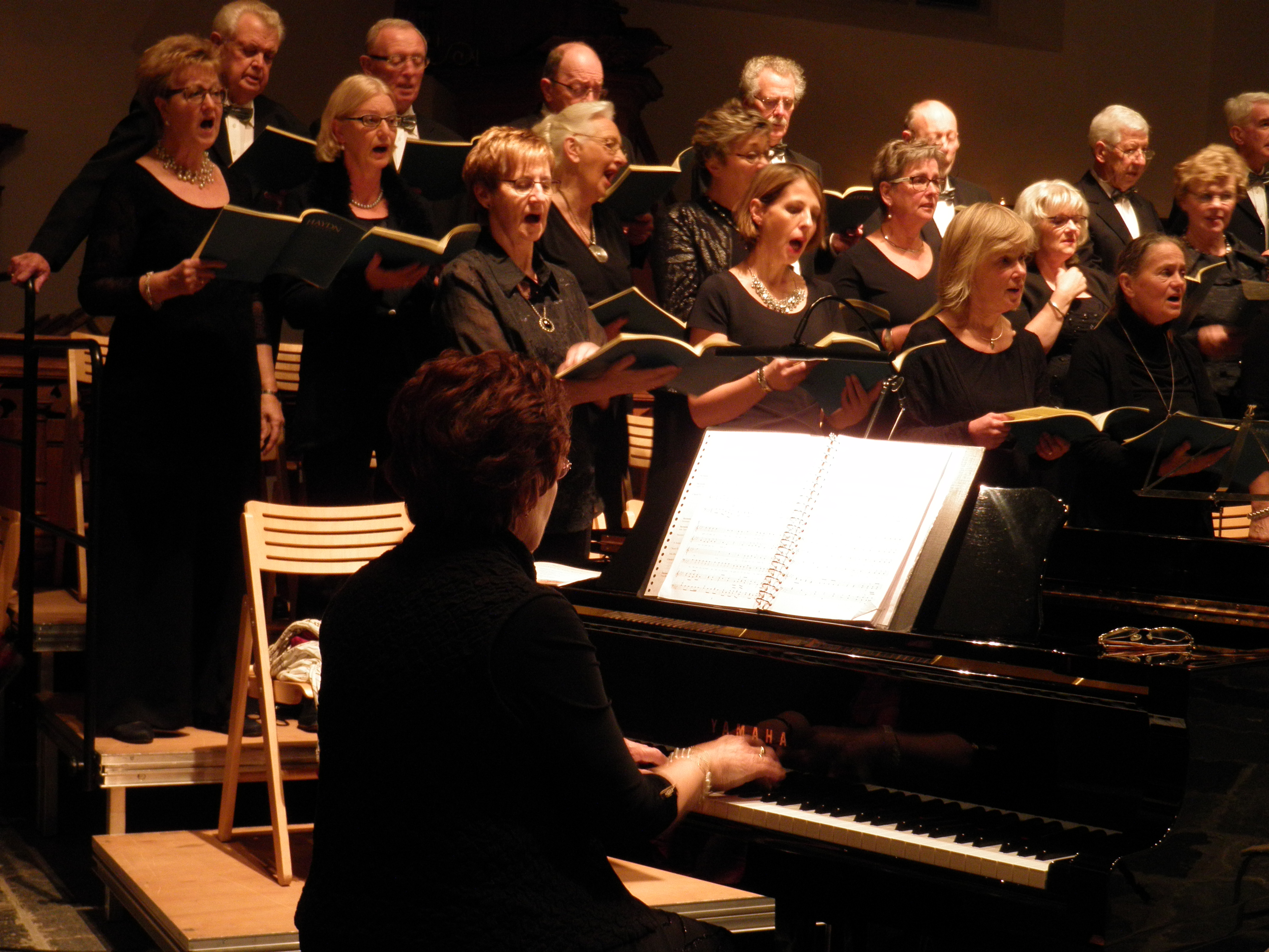 De Harmonie zingt. (Foto: Zangvereniging Harmonie)