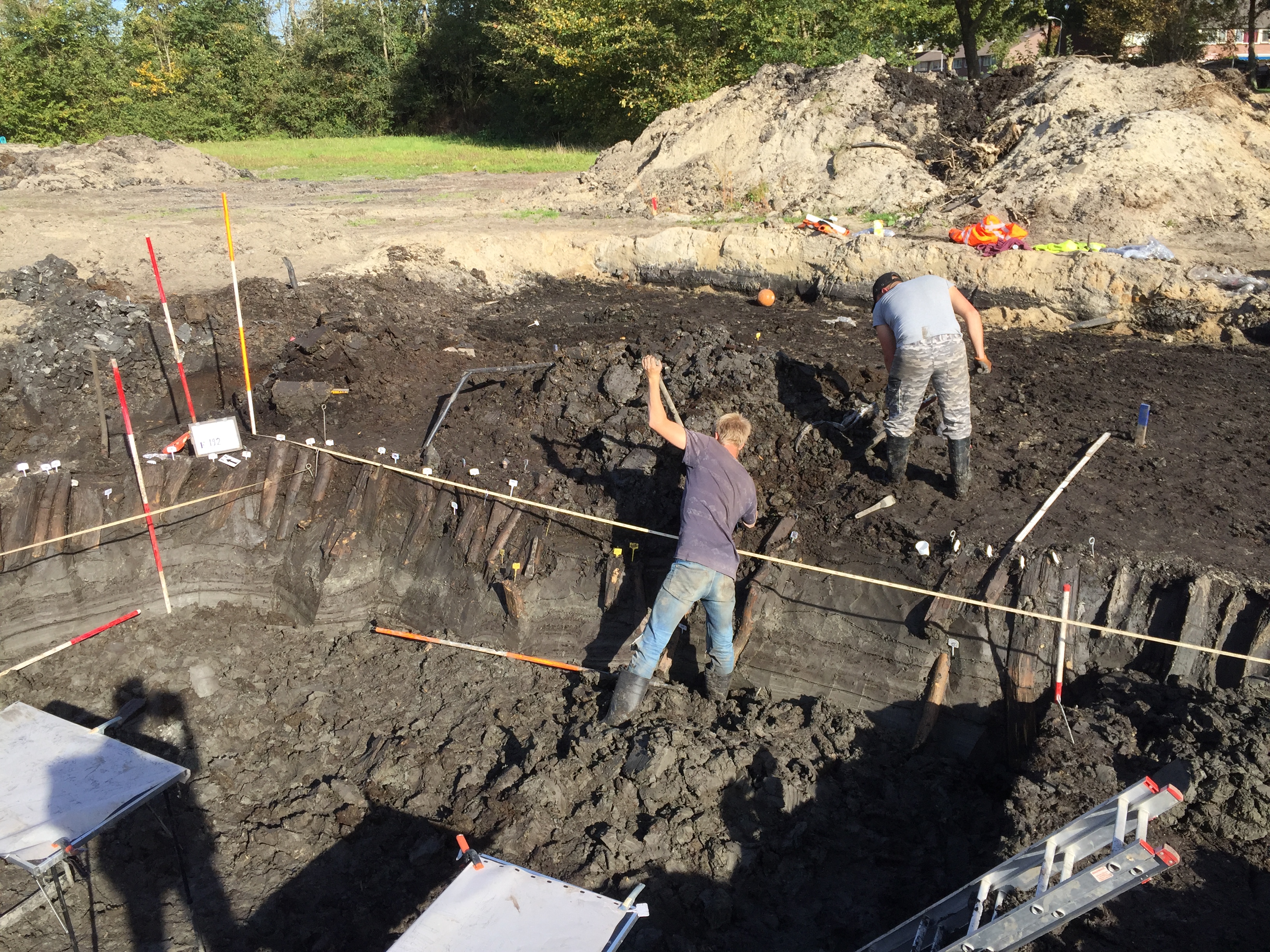 Archeologen leggen de noordhoek van de palissade bloot. Duidelijk zijn de in de grond bewaard gebleven onderkanten van de palen te zien. (Foto: gemeente Zaanstad)