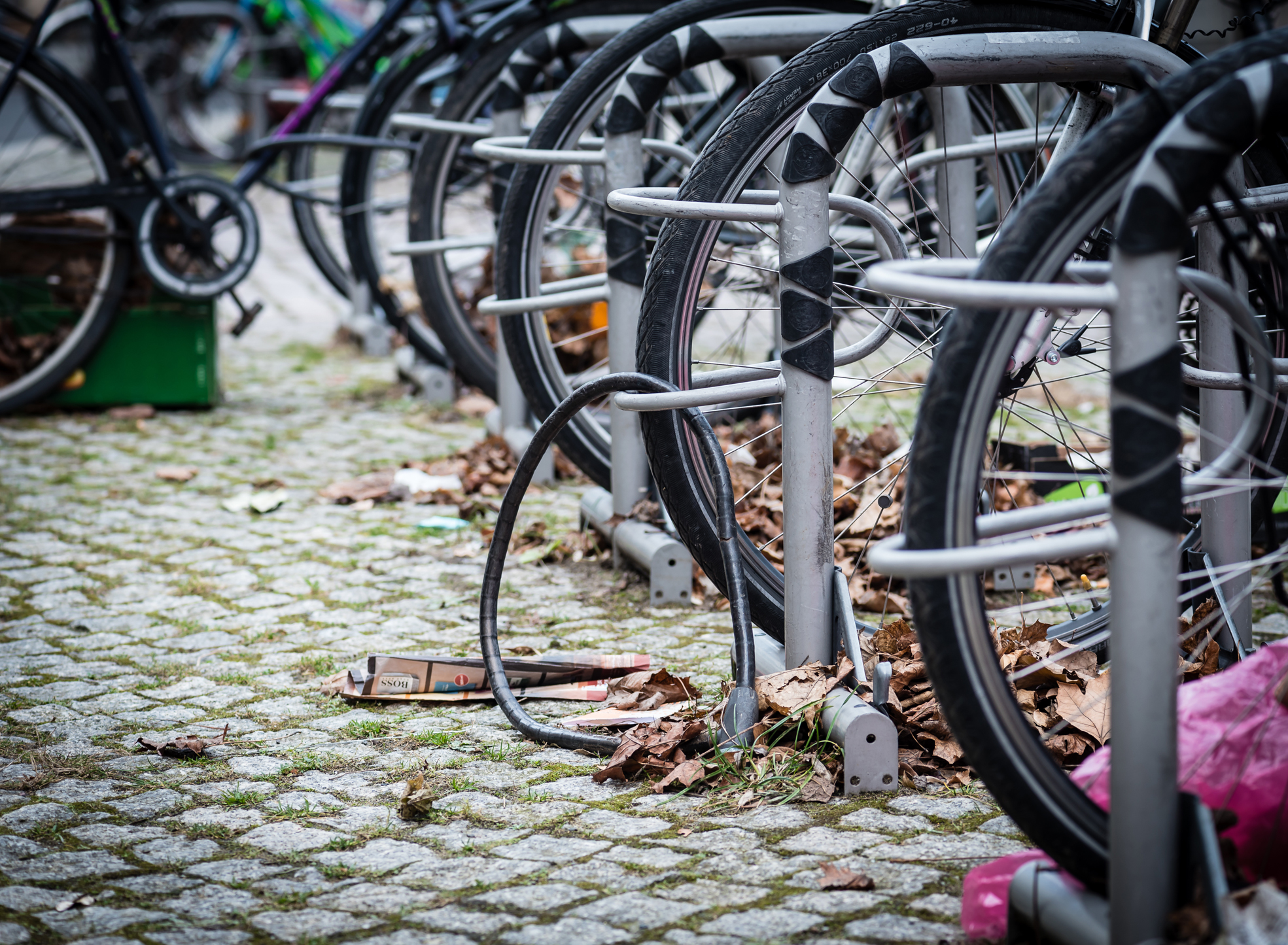 (Foto: Adobe Stock)