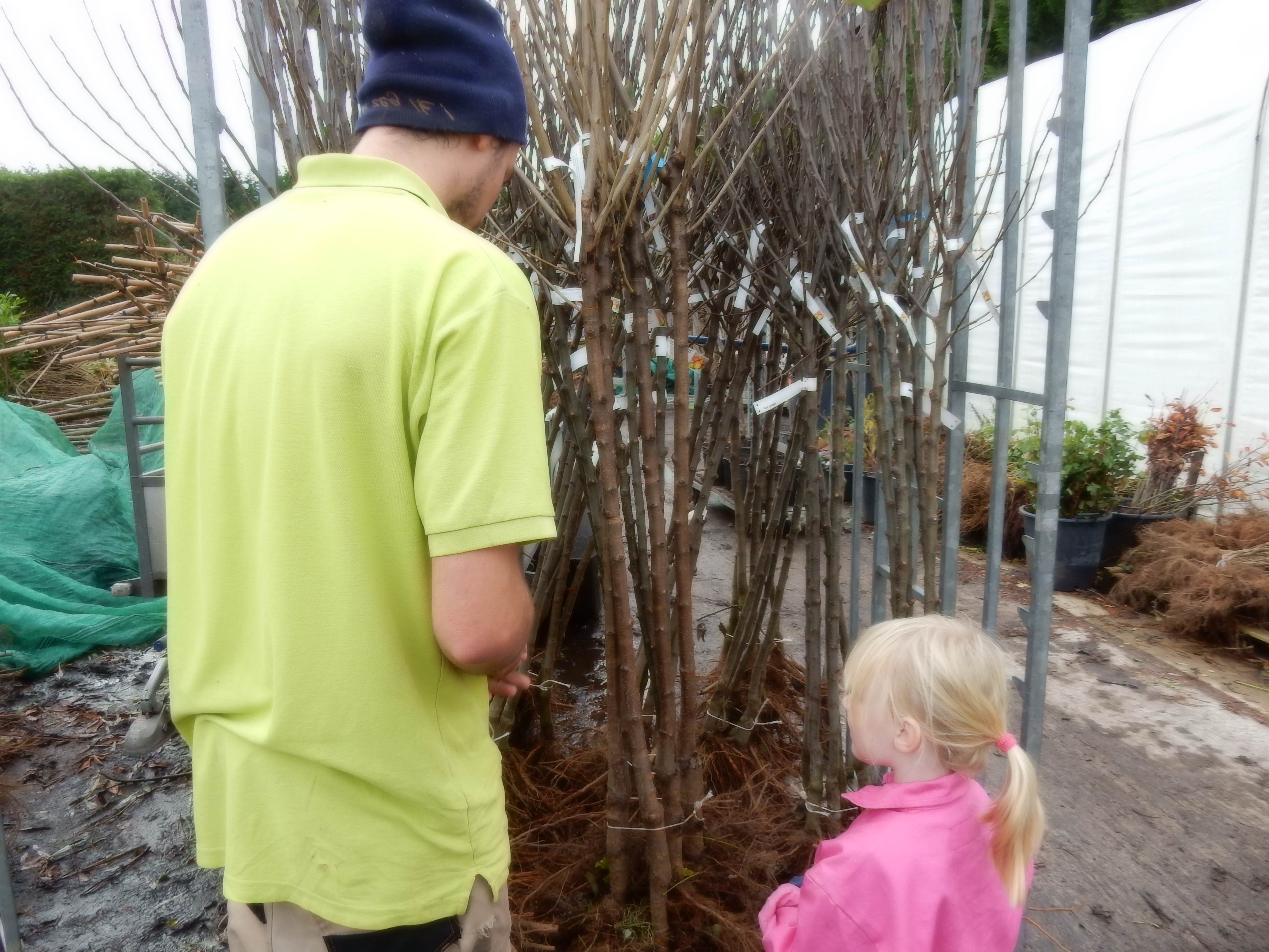 Willemijn en Thijs zoeken wat mooie fruitbomen uit. Nu kunnen fruitbomen met blote wortel worden geplant en is de keuze weer groot. (Foto: aangeleverd)