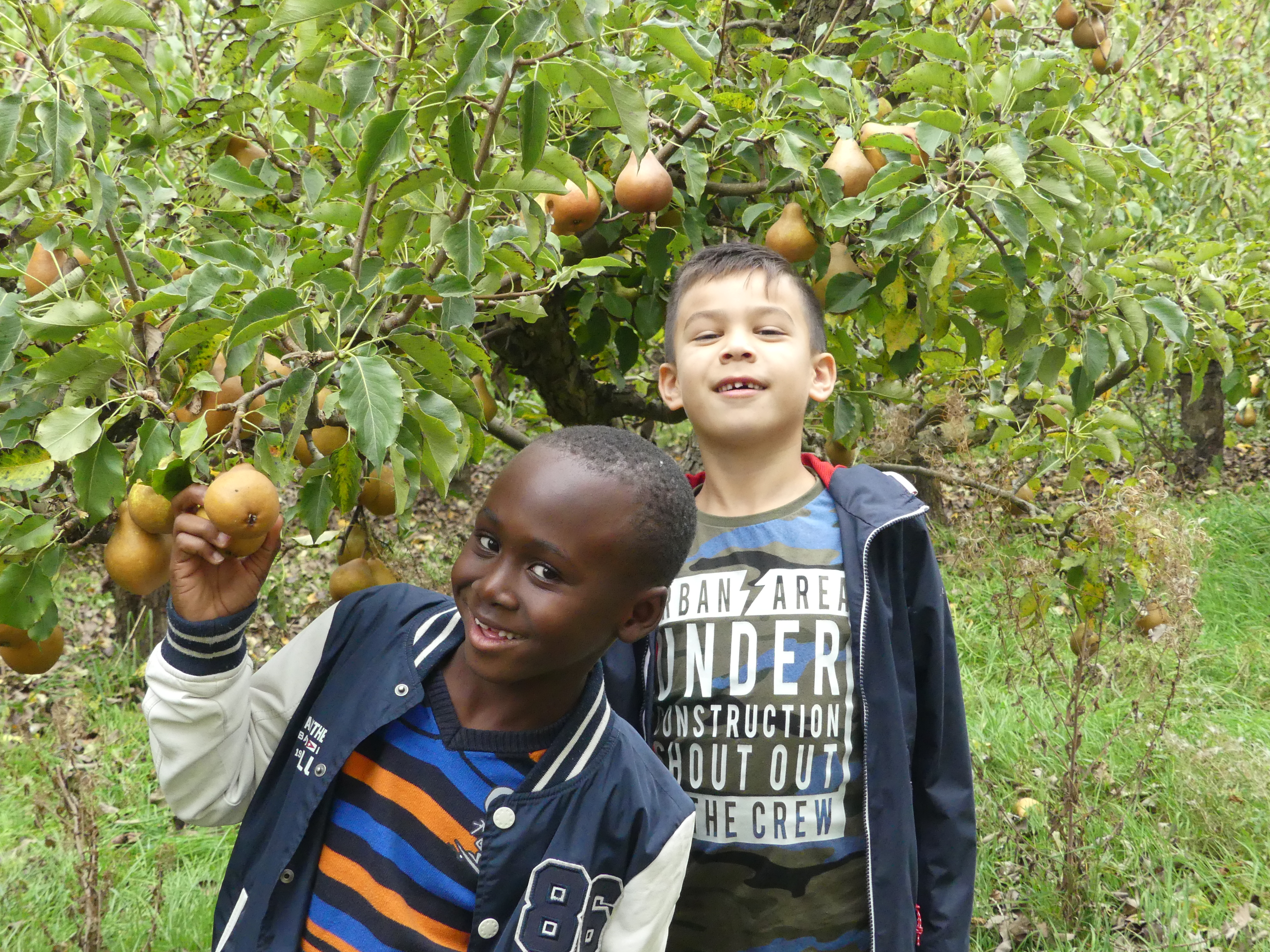 Kinderen plukten zich raak! (Foto: Cees Bandt)