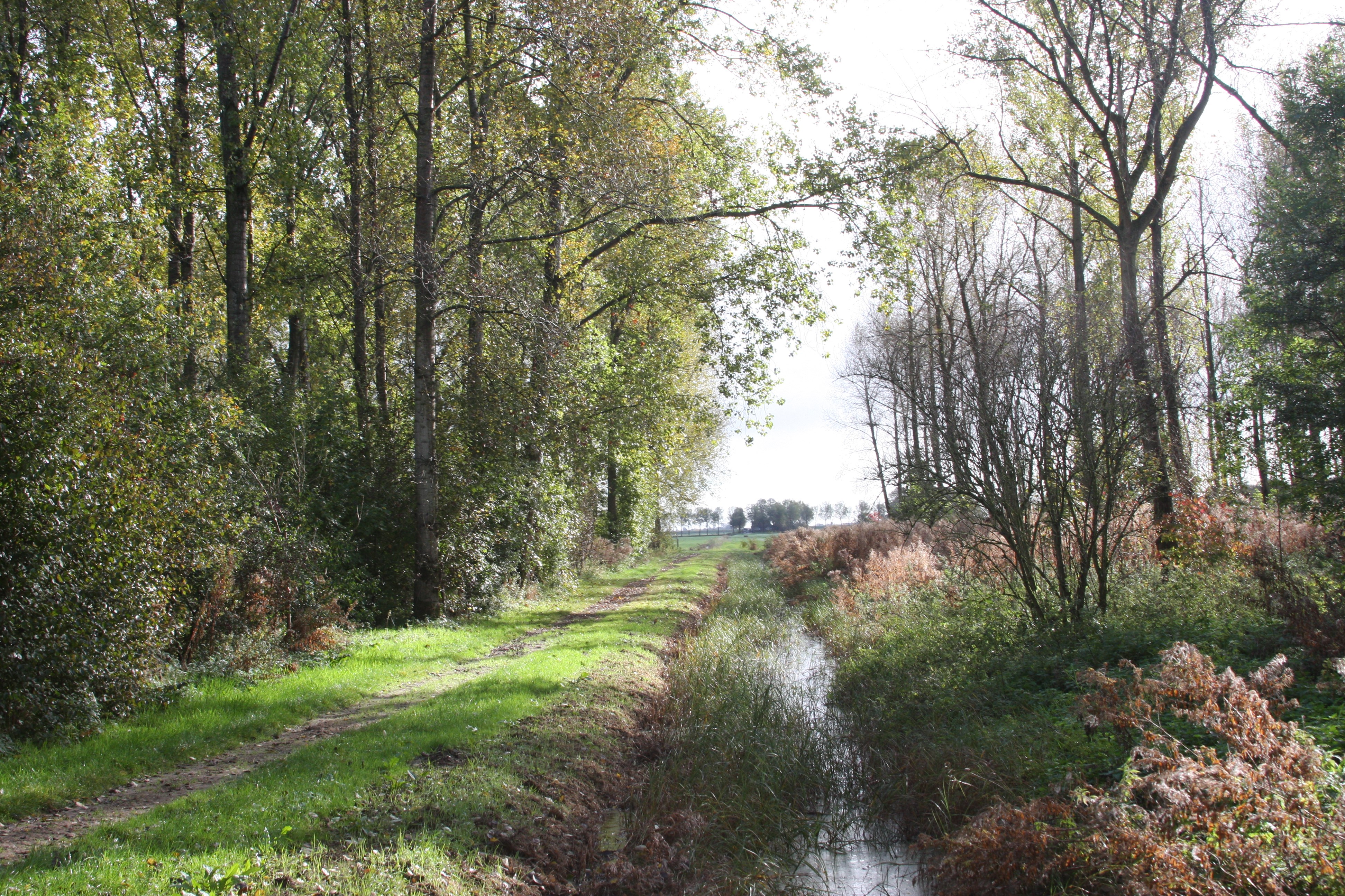 Fotografeer het Purmerbos. (Foto: aangeleverd)