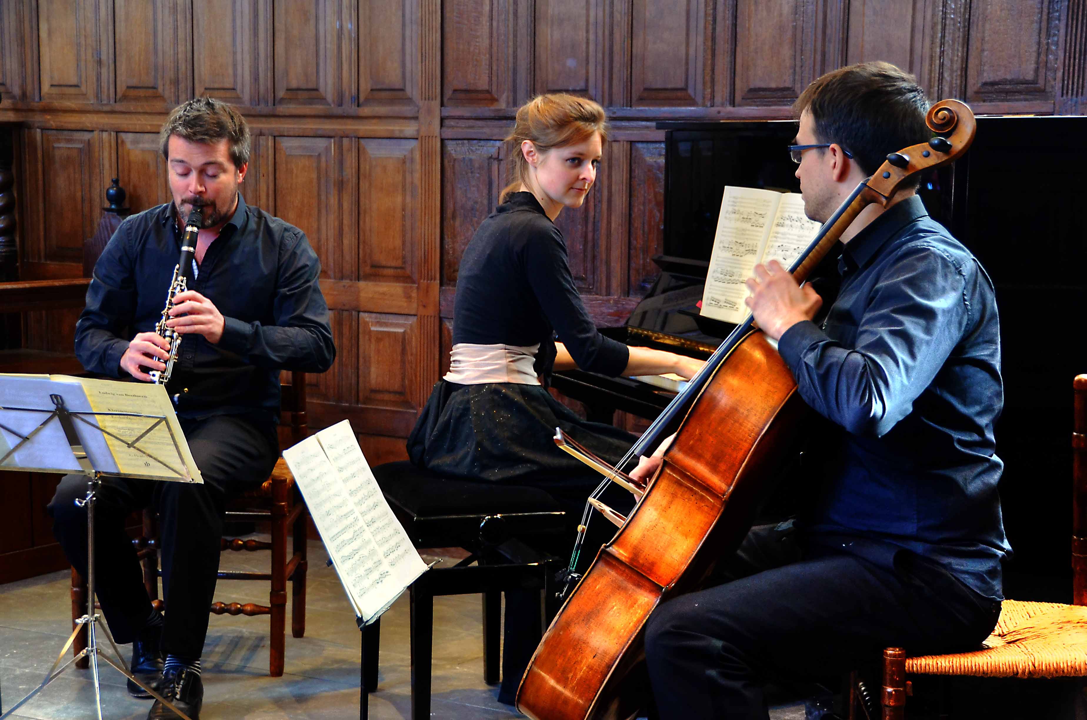 Het Arcadië trio treedt zondag 11 november op in het Groene kerkje in Lambertschaag. (Foto: Hieke Bijlsma)
