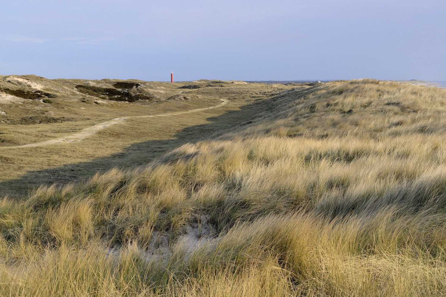 De Noordduinen. (Foto: Ronald van Wijk)