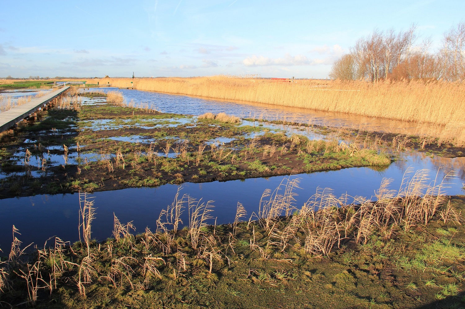 Het Ilperveld. (Foto: Klaas Ros)