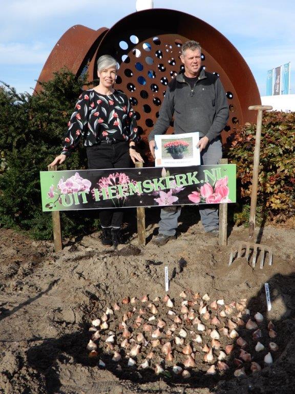 Tatatulp gepland op rotonde