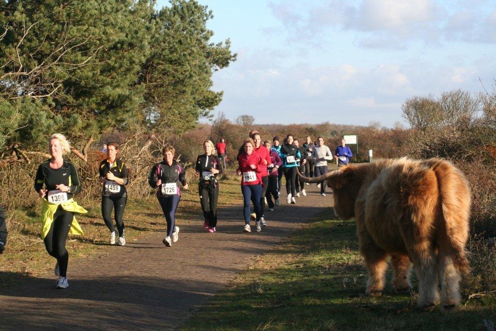 Inschrijving Midwinterduinloop geopend. (Foto: aangeleverd).