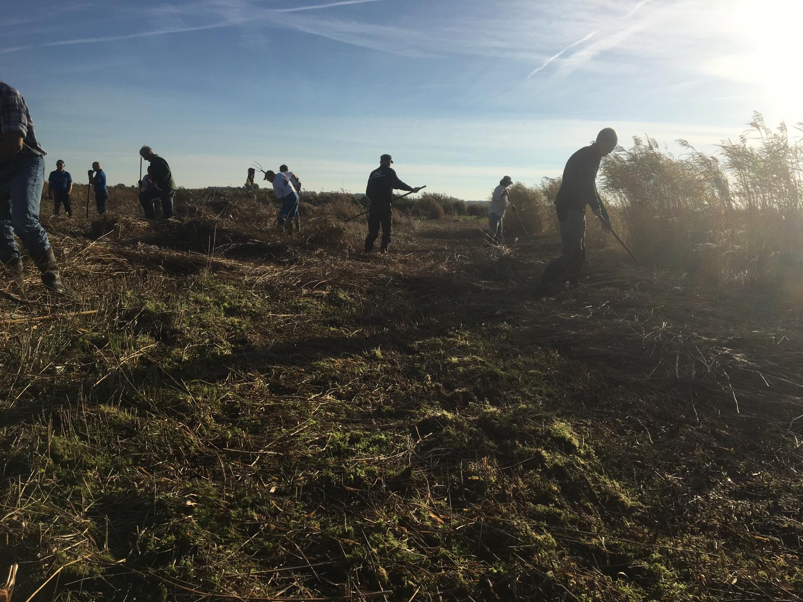 Het Oostzanerveld. (Foto: aangeleverd)