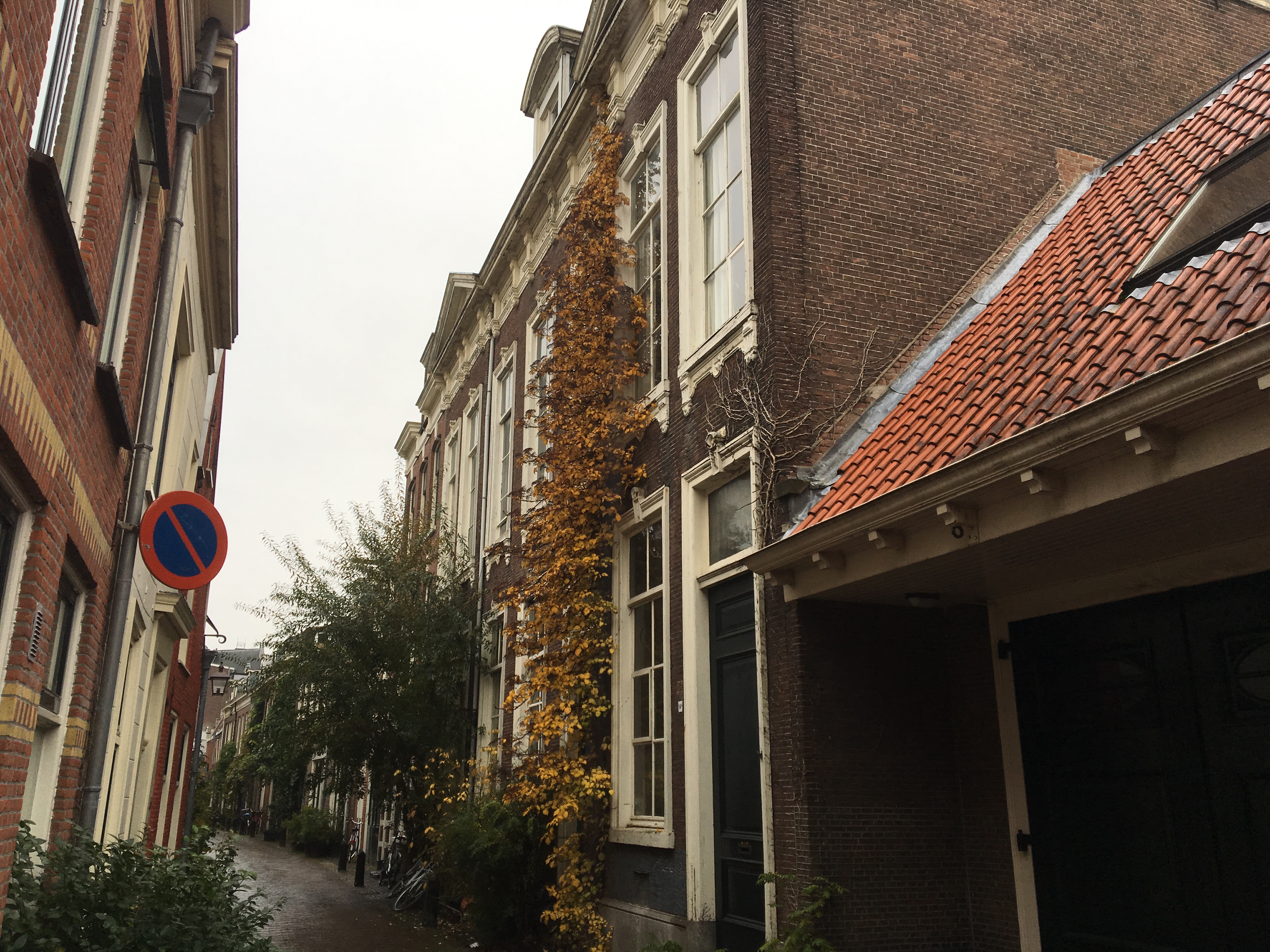 <p>Gemeenteraad kiest voor behoud Joodse geschiedenis</p>