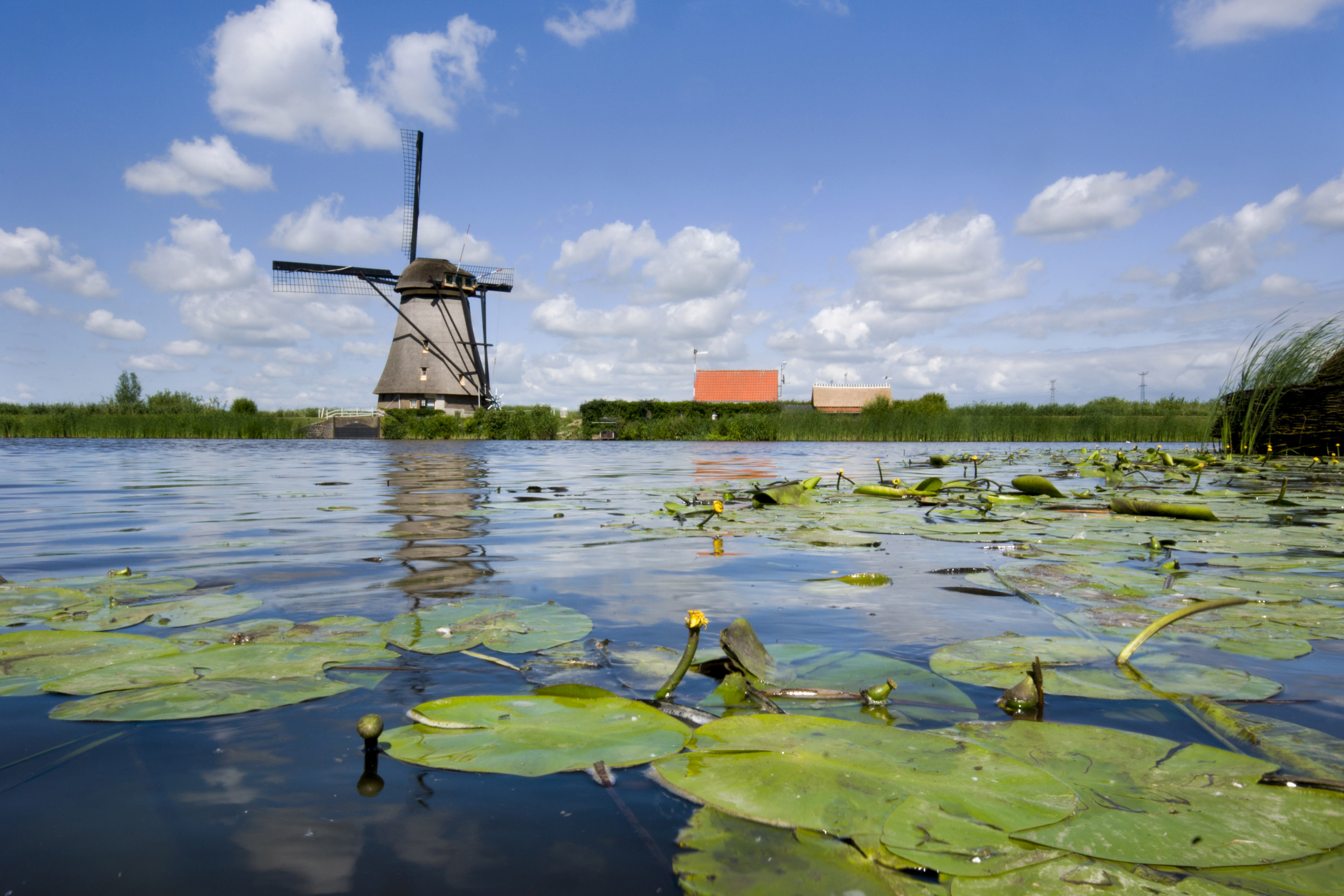 Een voorbeeld van een goed 'gecomponeerde' foto. (FOTO: AANGELEVERD)