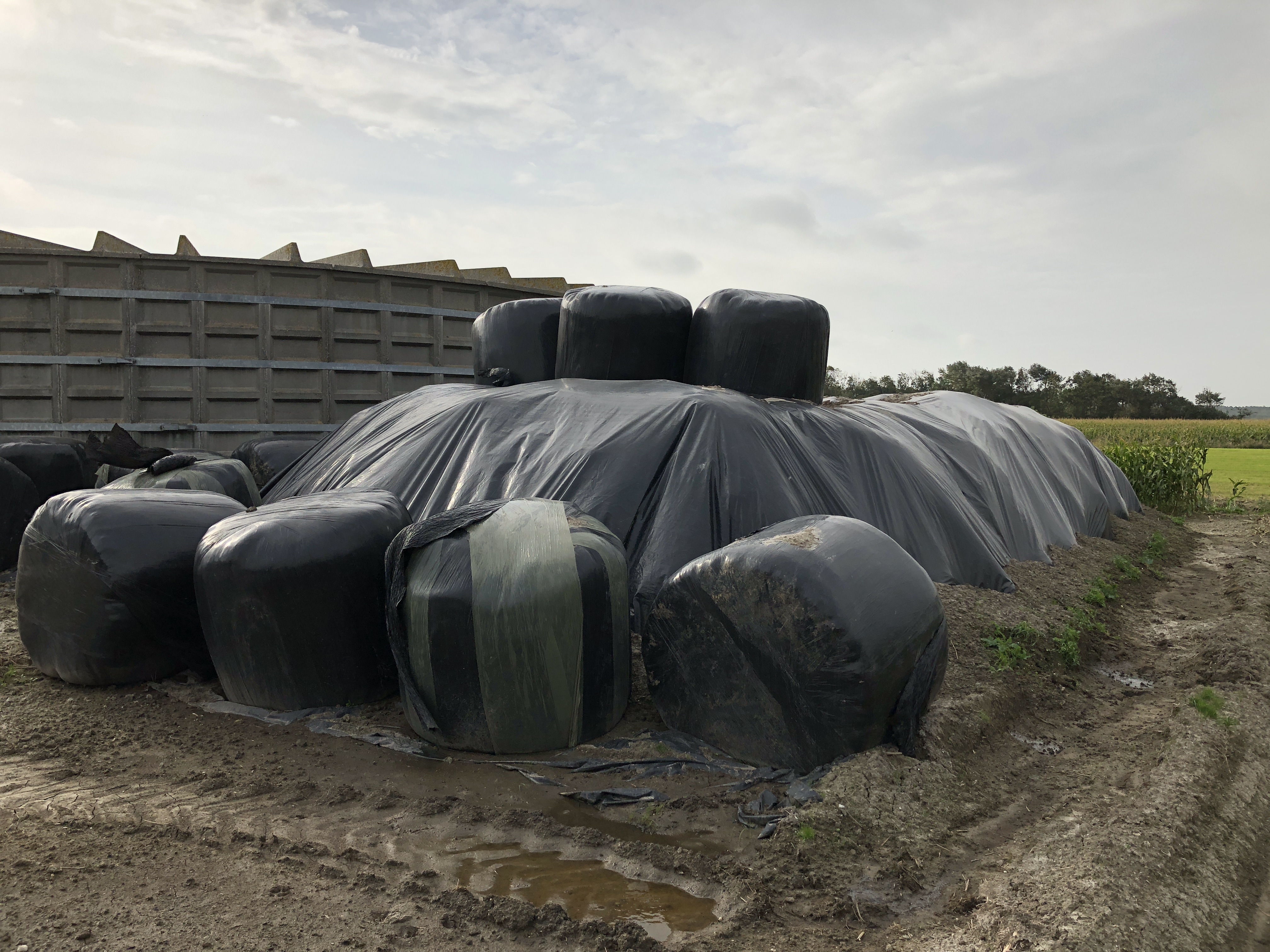 De Bokashi methode: maaisel wordt prima bodemverbeteraar. (Foto: aangeleverd).